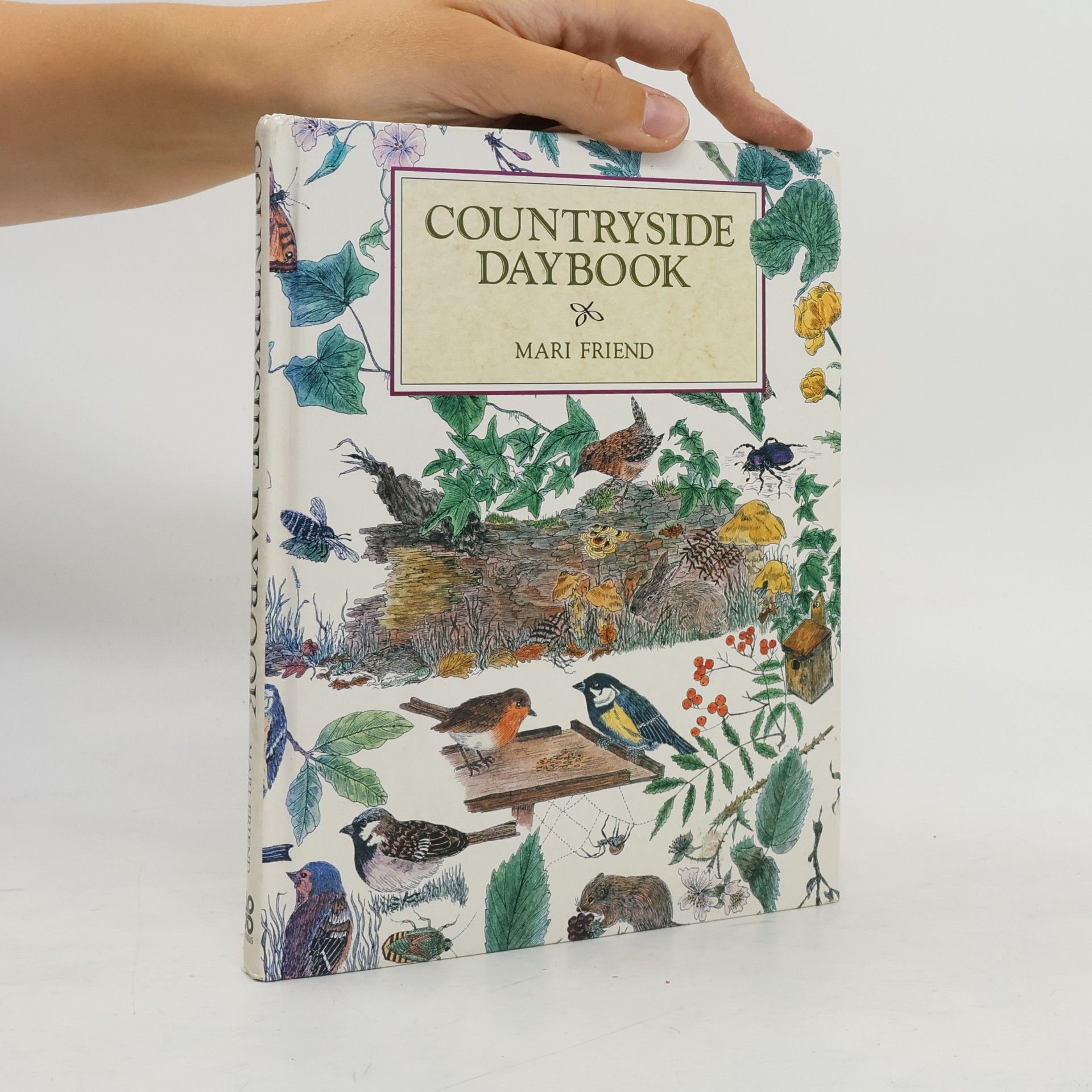 Mari Friend Countryside Daybook