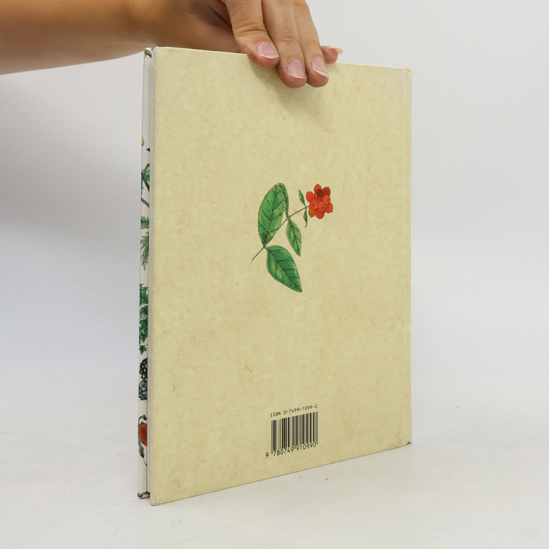 Mari Friend Countryside Daybook