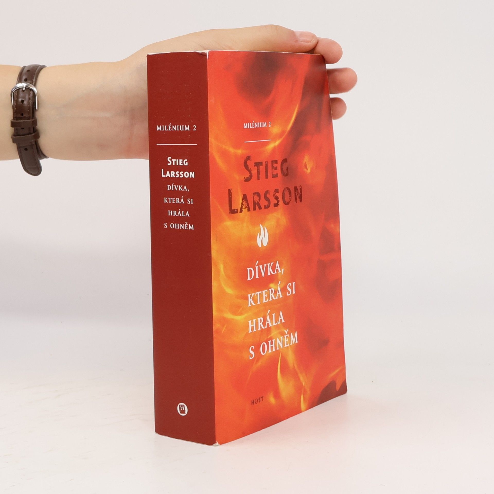 Stieg Larsson Dívka, která si hrála s ohněm