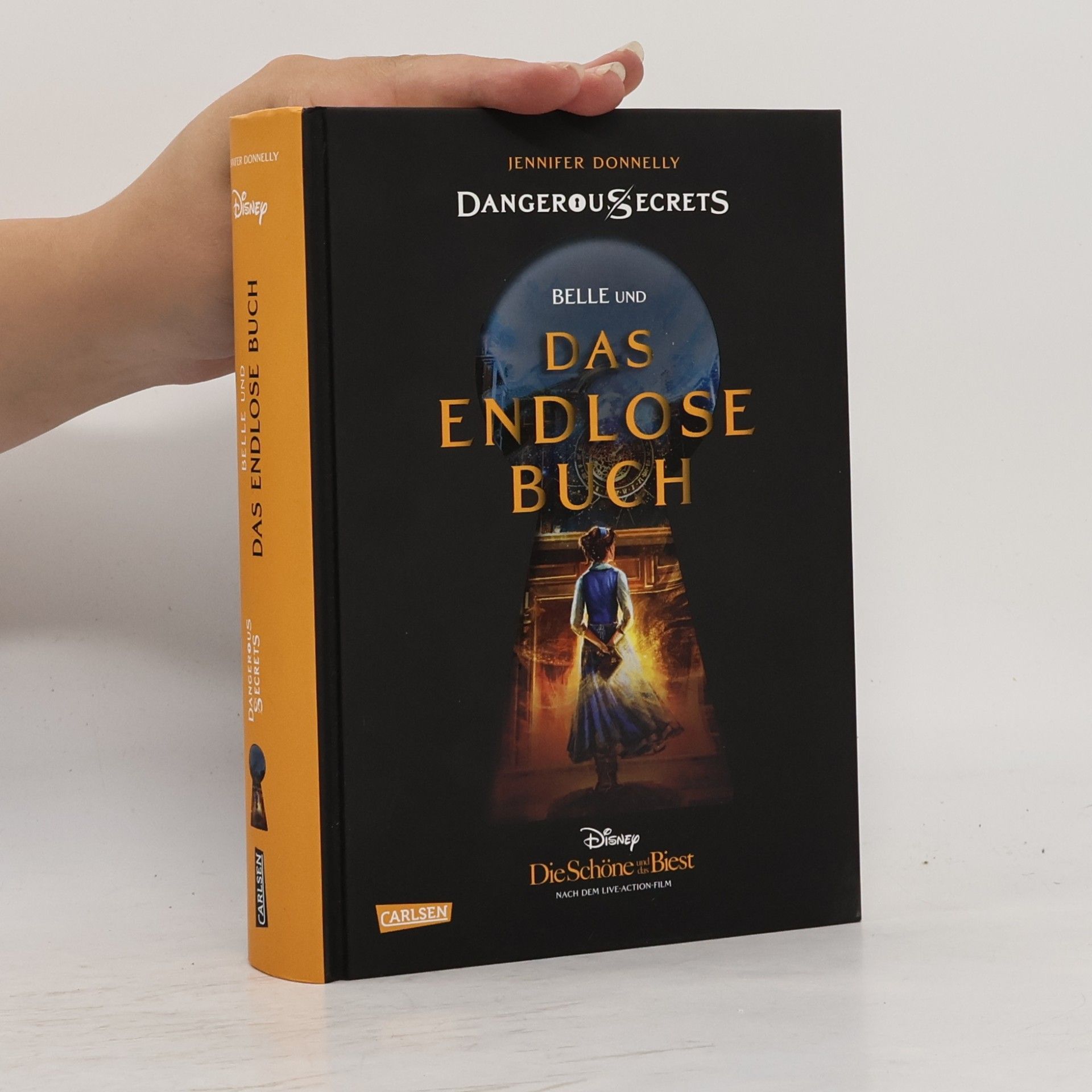 Jennifer Donnelly Das endlose Buch