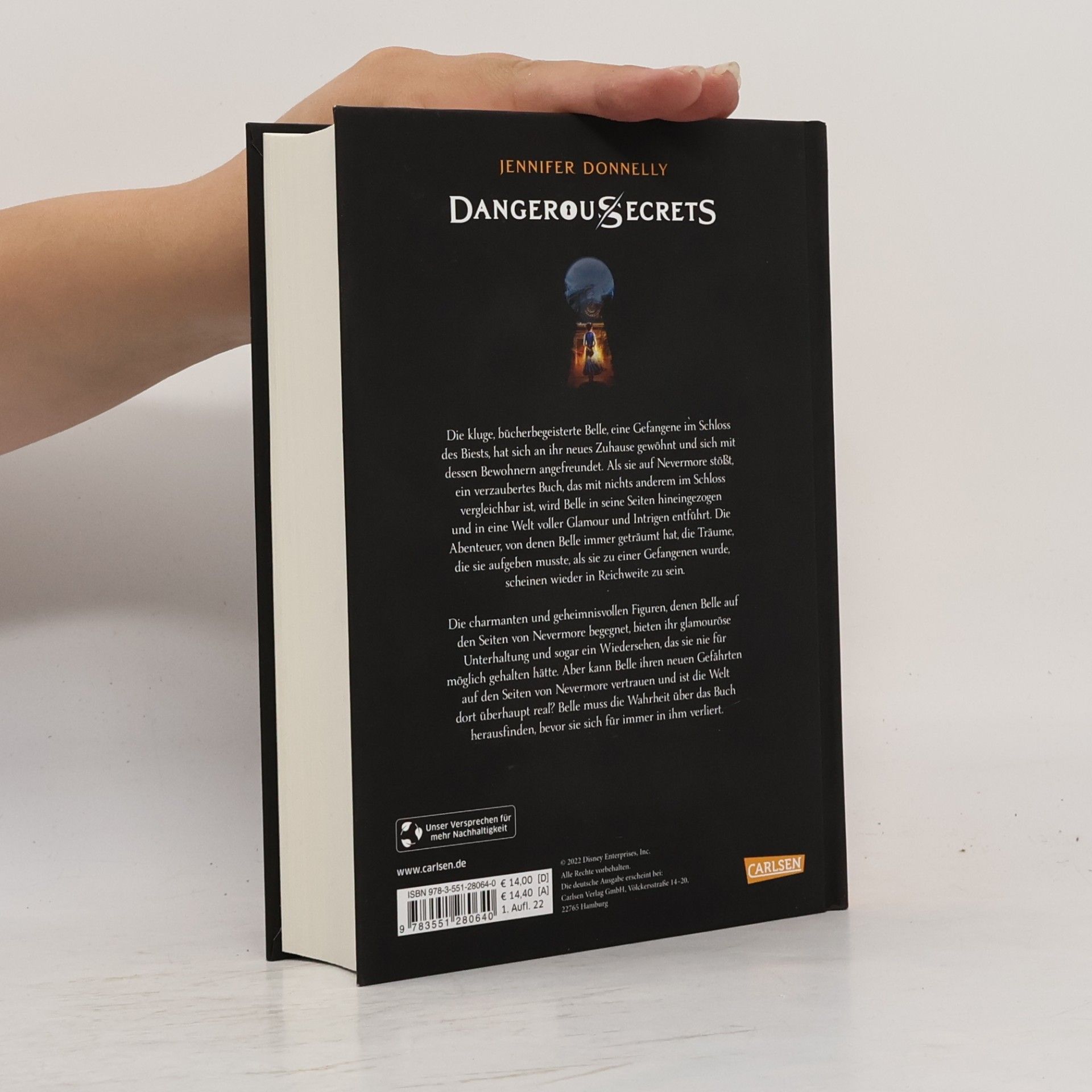 Jennifer Donnelly Das endlose Buch