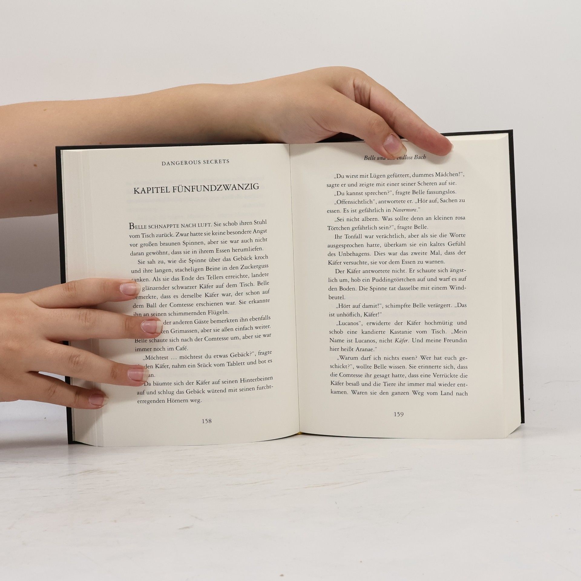 Jennifer Donnelly Das endlose Buch