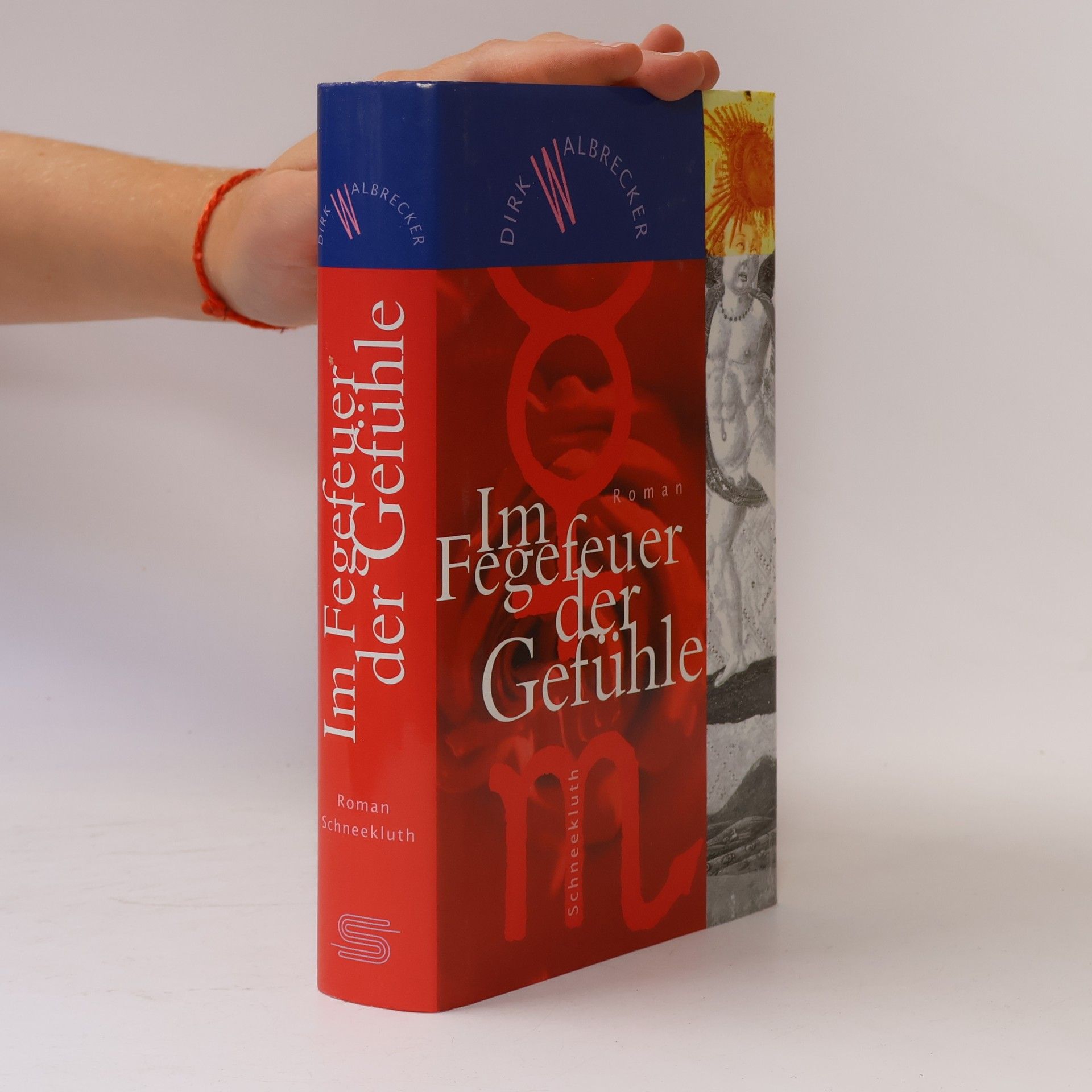 Dirk Walbrecker Im Fegefeuer der Gefühle