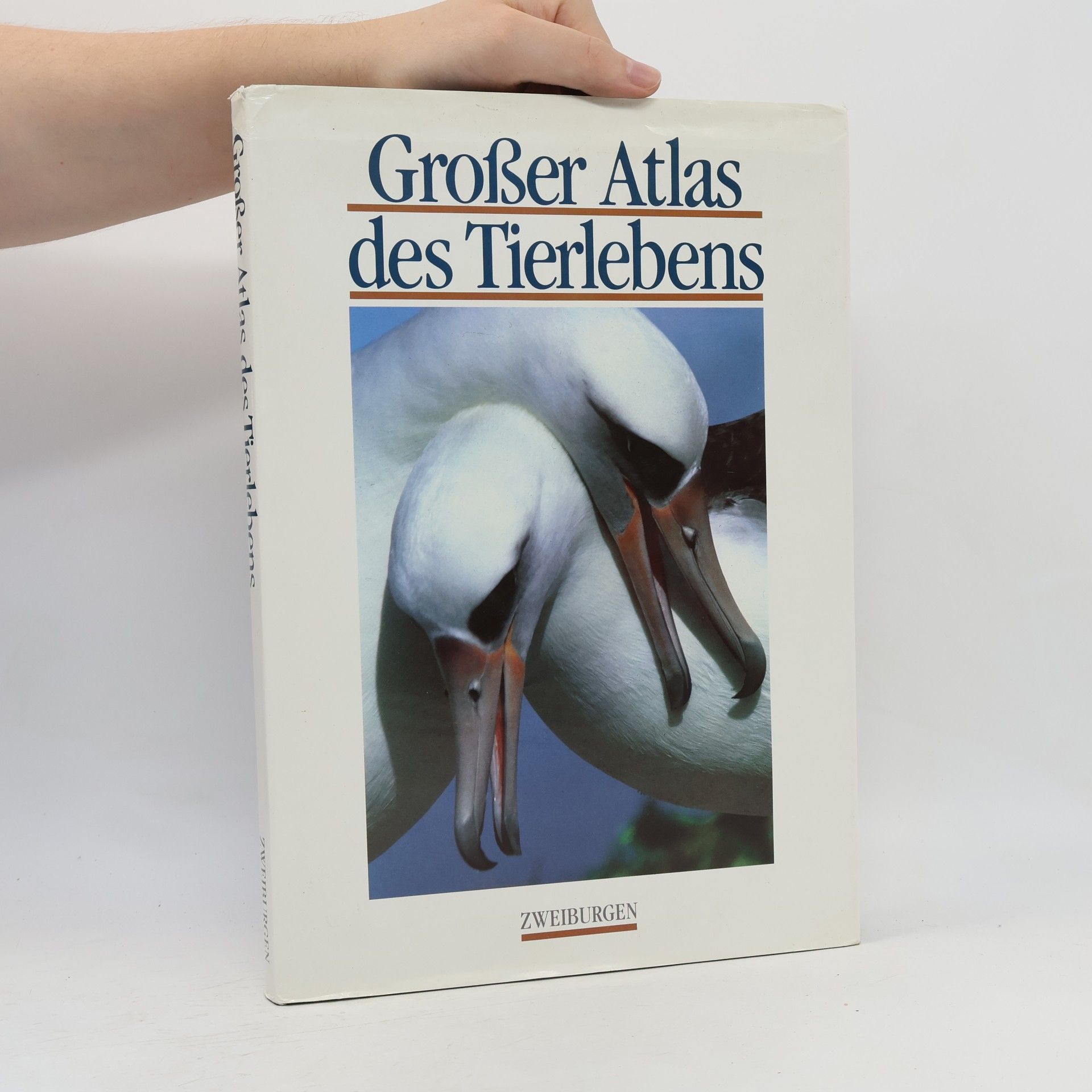 Autorenkollektiv Großer Atlas des Tierlebens