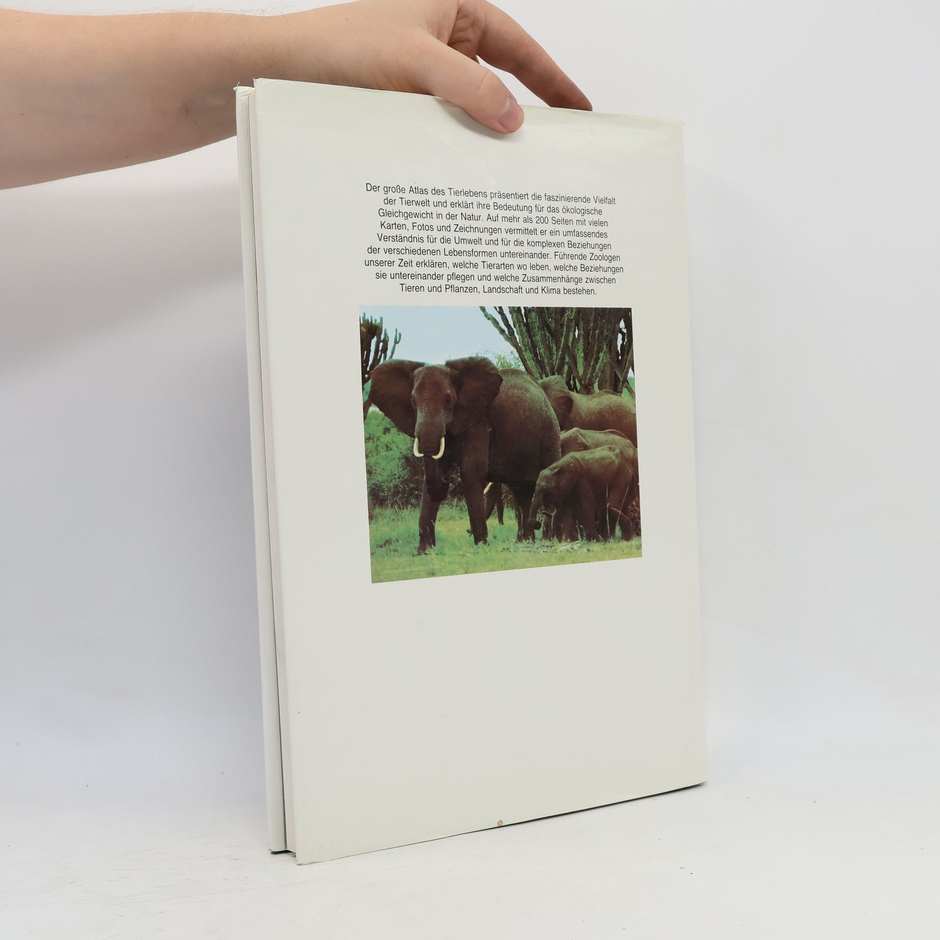 Kolektiv autorů Großer Atlas des Tierlebens