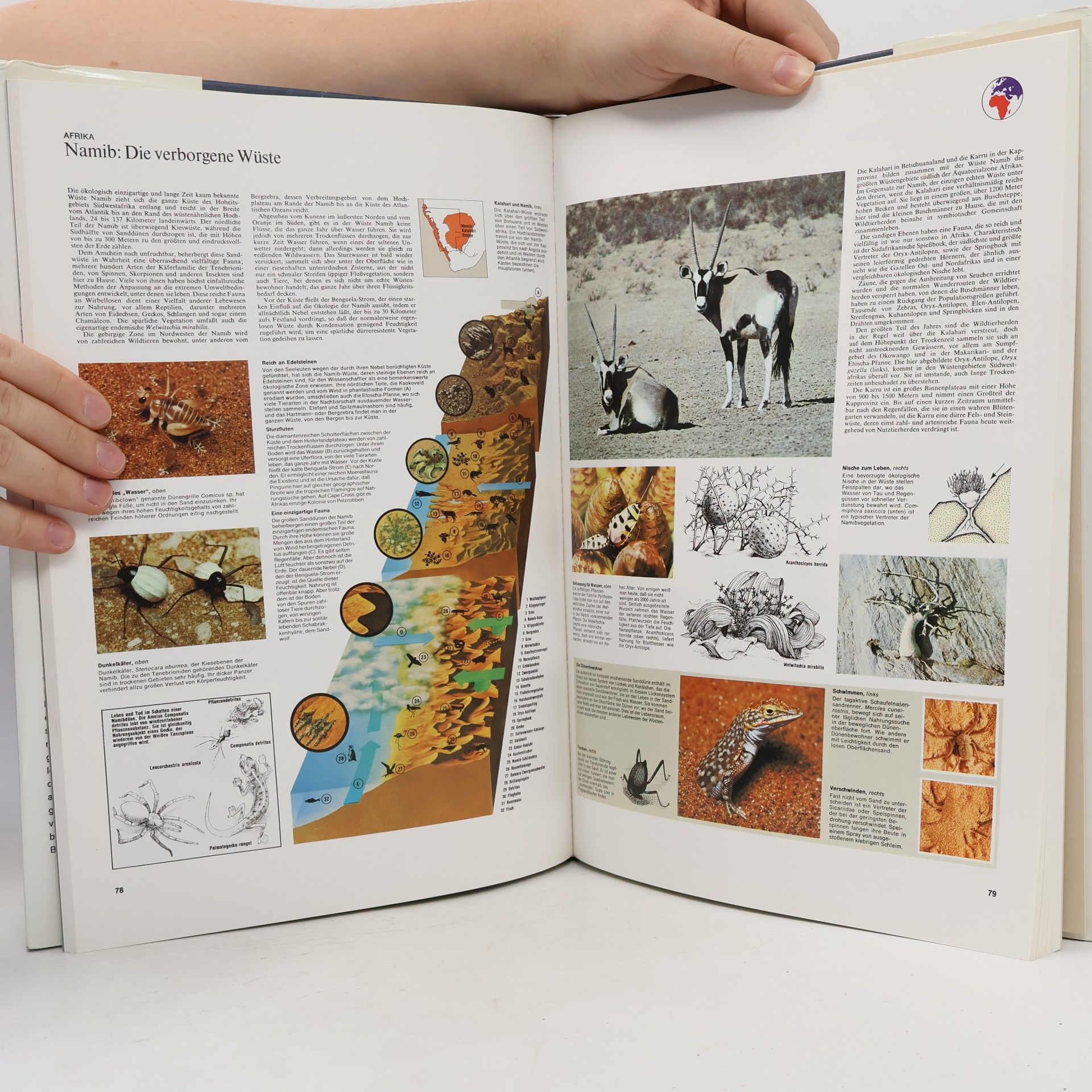 Kolektiv autorů Großer Atlas des Tierlebens