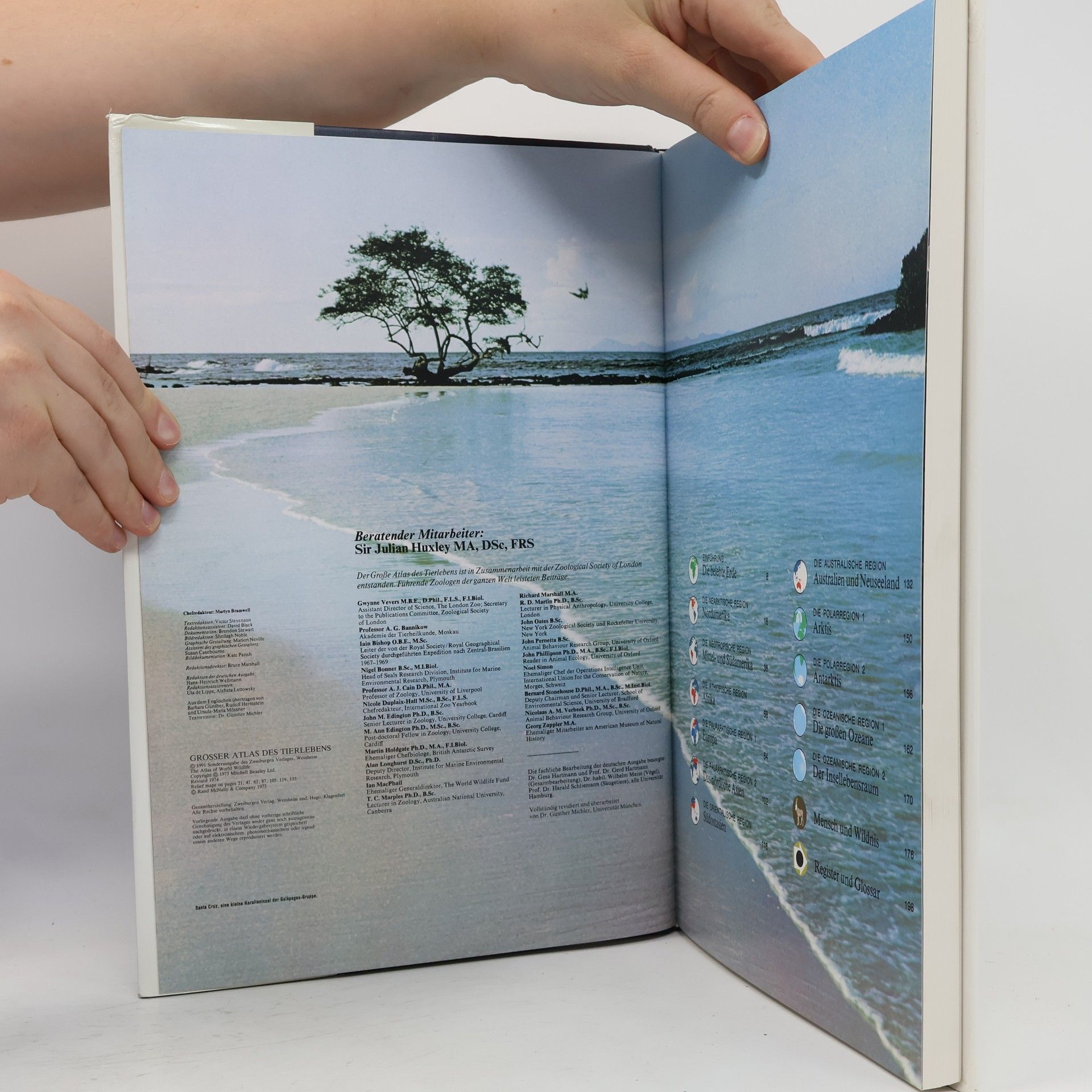Kolektiv autorů Großer Atlas des Tierlebens