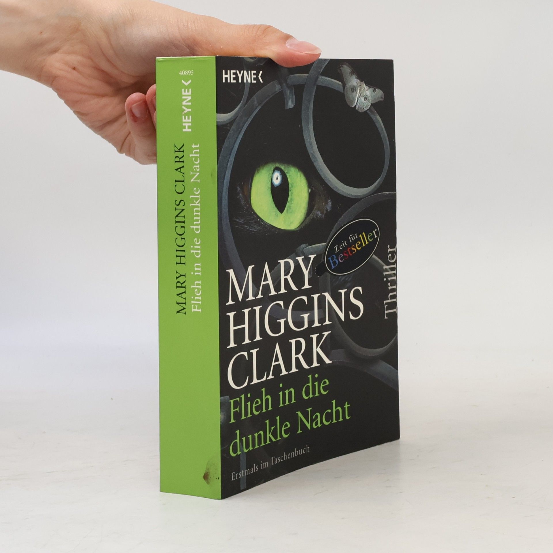 Mary Higginsová Clarková Flieh in die dunkle Nacht