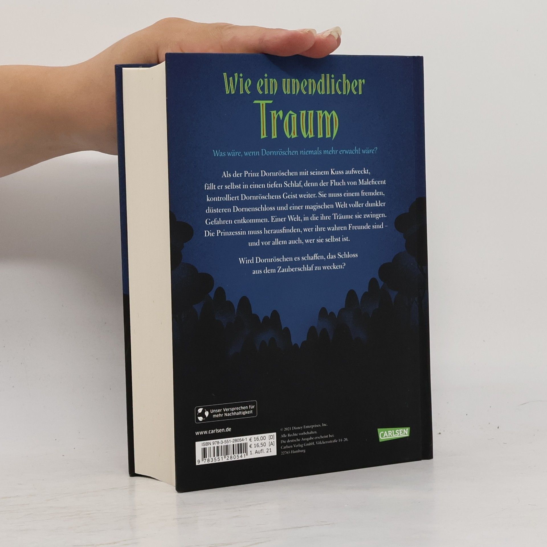 Elizabeth J. Braswell Wie ein Unendlicher Traum