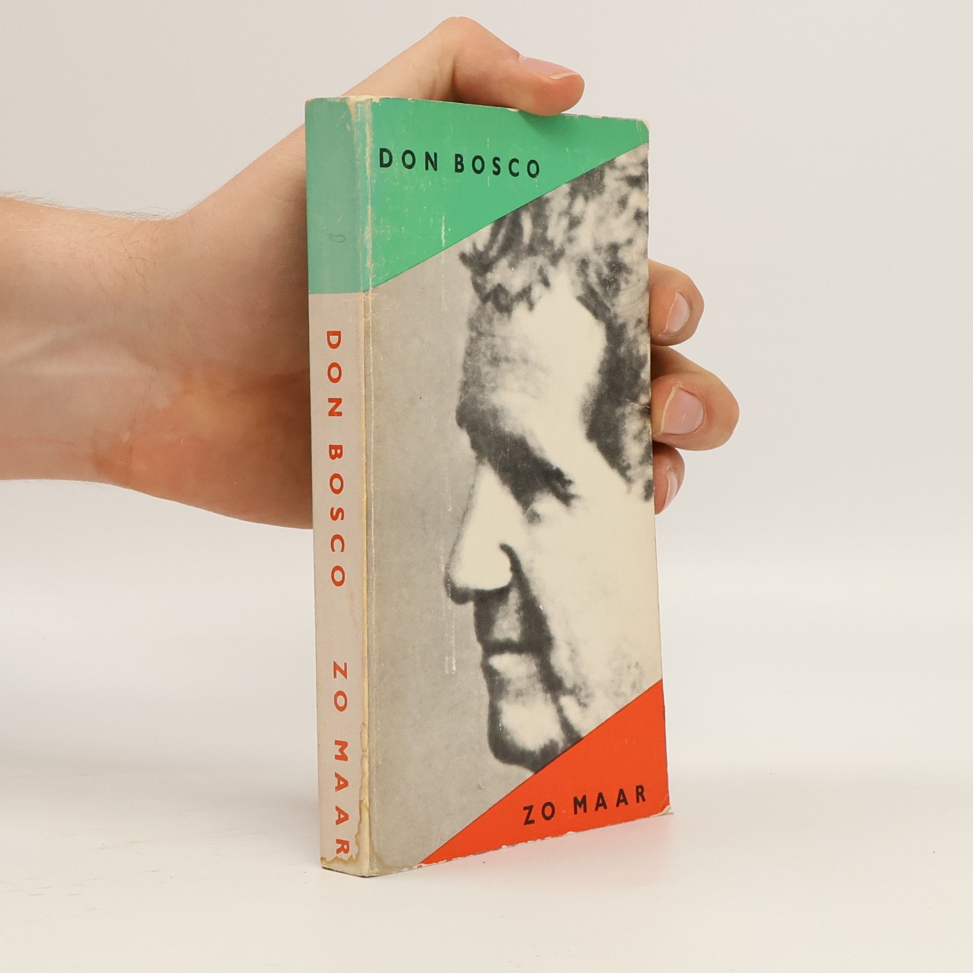 Don Bosco zo maar: een andere levensbeschrijving
