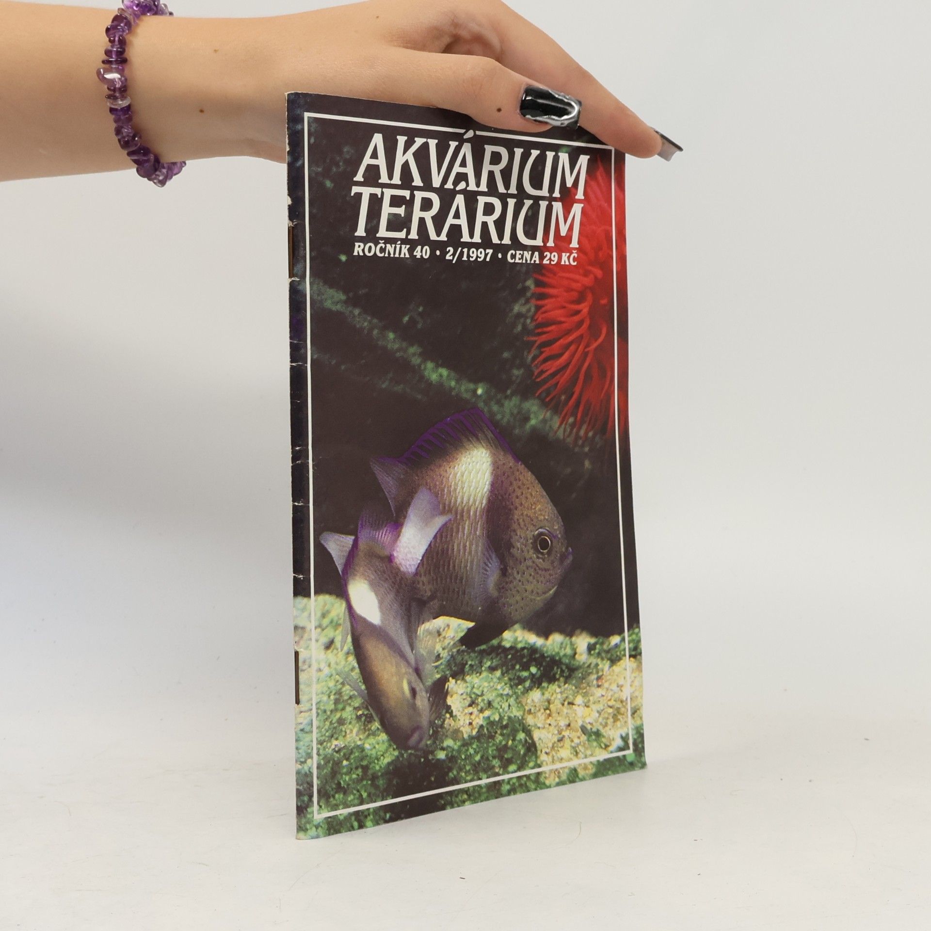 Collectif d'auteurs Akvárium terárium 2/1997