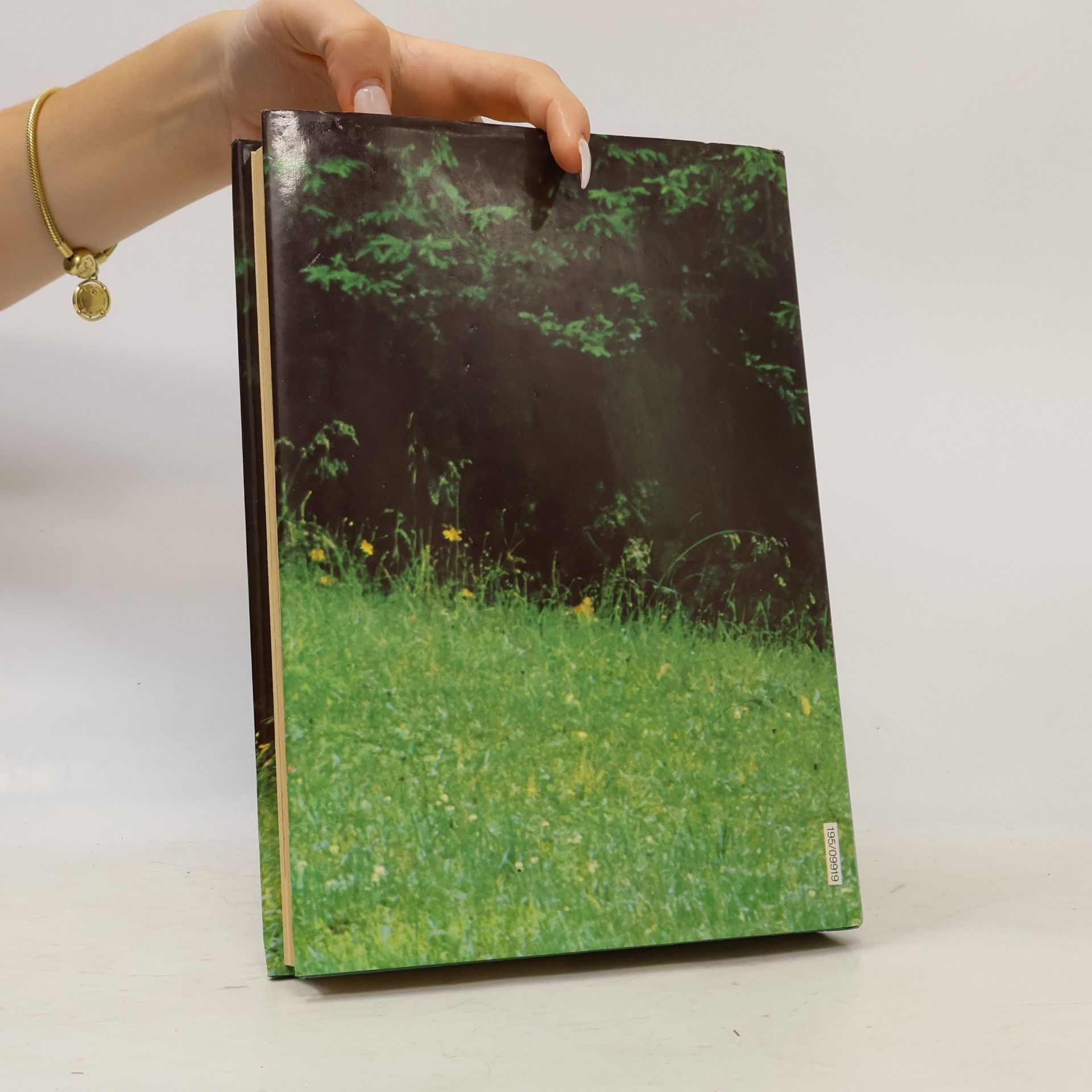 Walther Niedl Das grosse Buch von Jagd und Wald