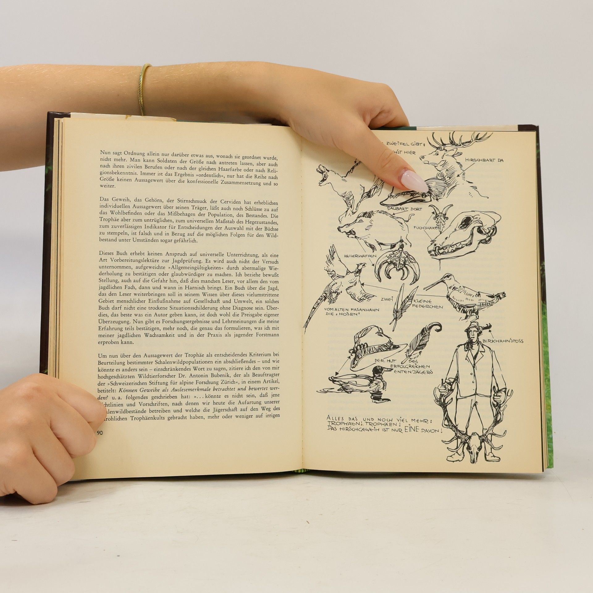 Walther Niedl Das grosse Buch von Jagd und Wald