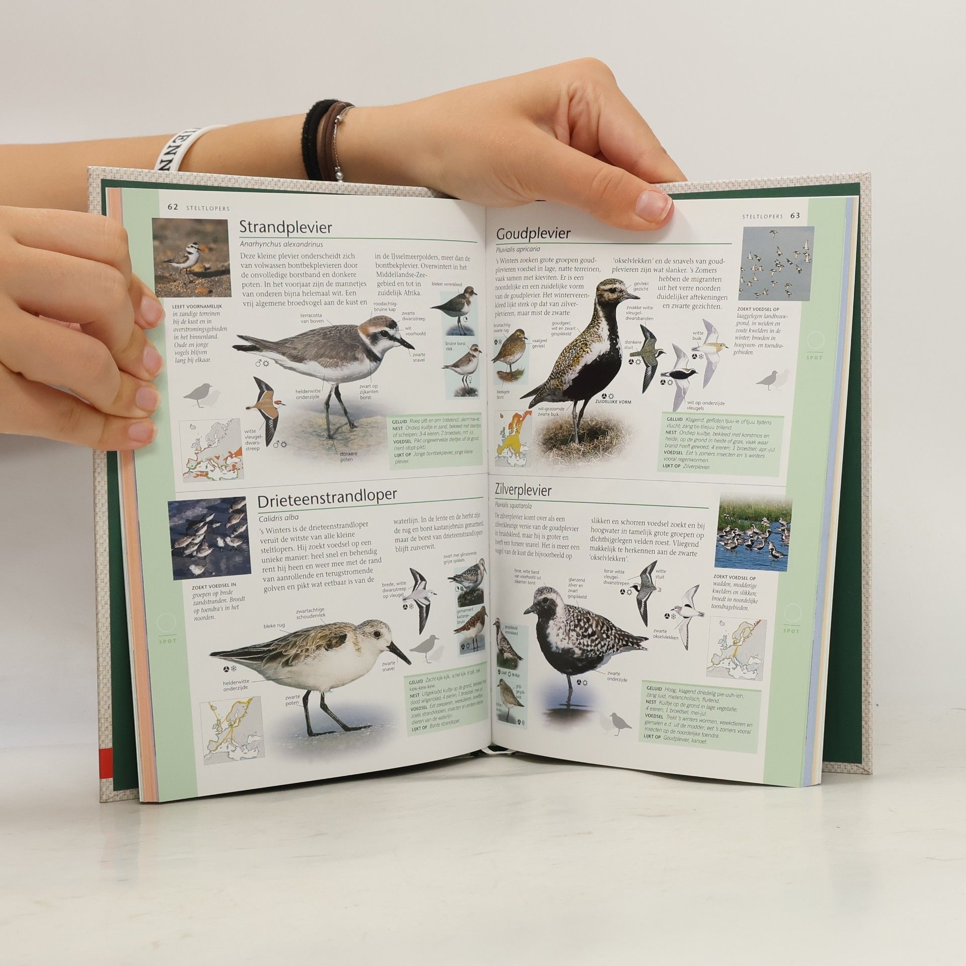 Jonathan Elphick Vogels in Nederland 1