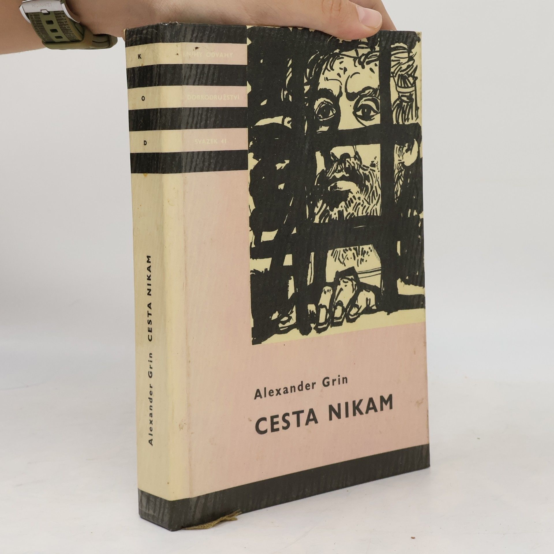 Aleksandr Grin Cesta nikam