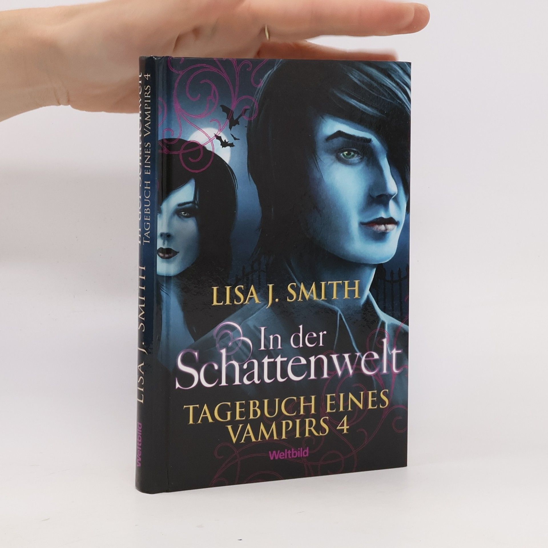 L. J. Smithová  Tagebuch eines Vampirs 4. In der Schattenwelt
