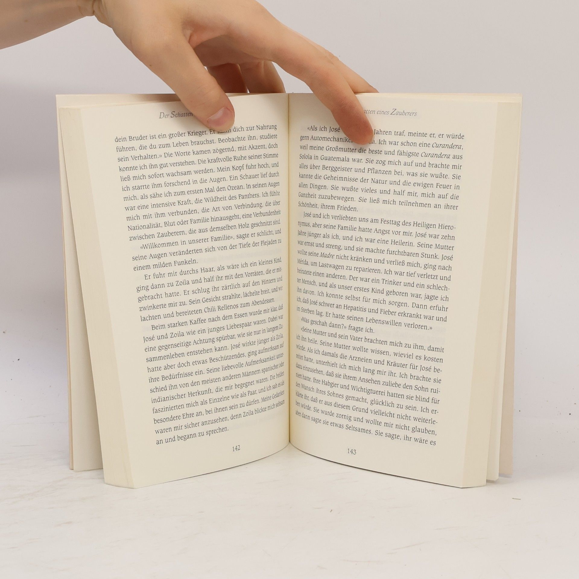 Lynn V. Andrews Die Jaguarfrau und die Lehren des Schmetterlingsbaumes