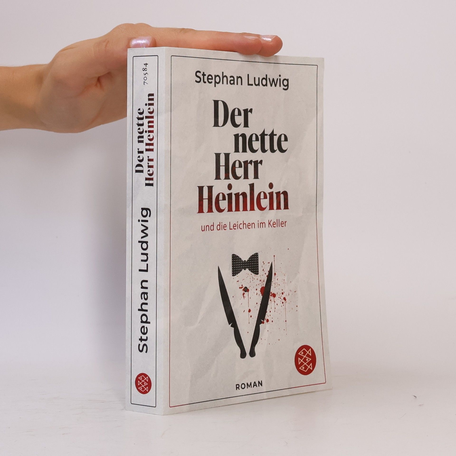 Stephan Ludwig Der nette Herr Heinlein und die Leichen im Keller