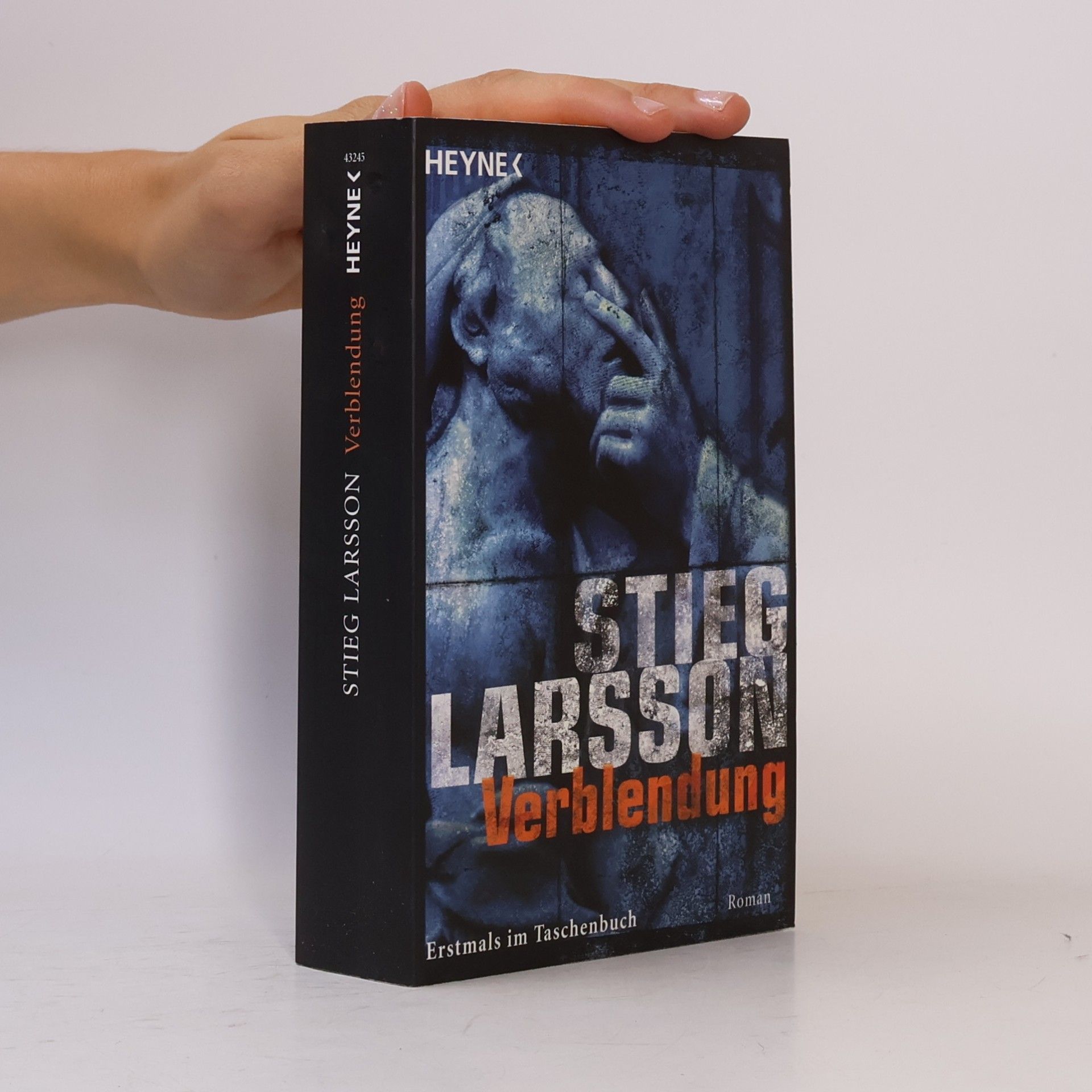Stieg Larsson Verblendung