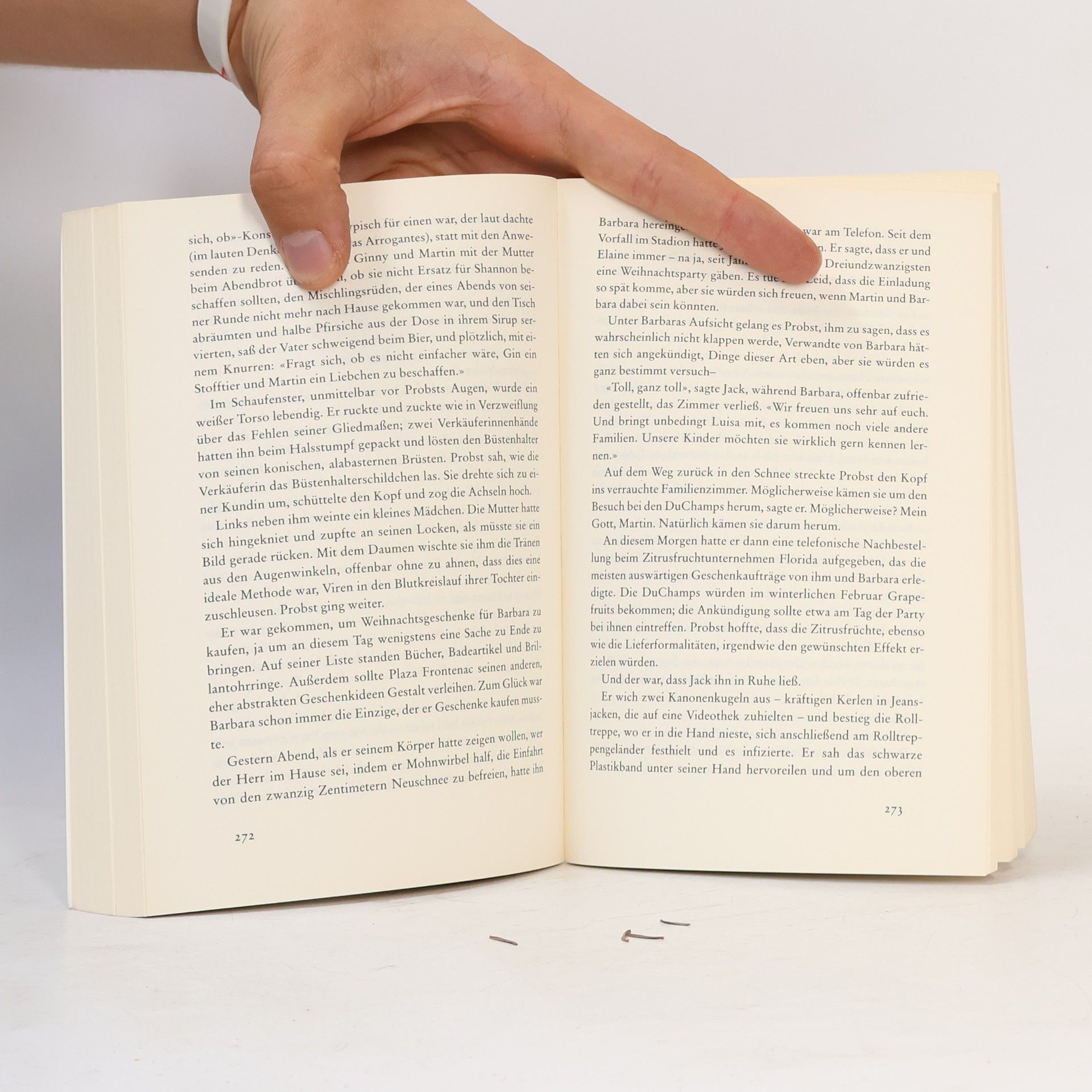 Jonathan Franzen Die 27ste Stadt