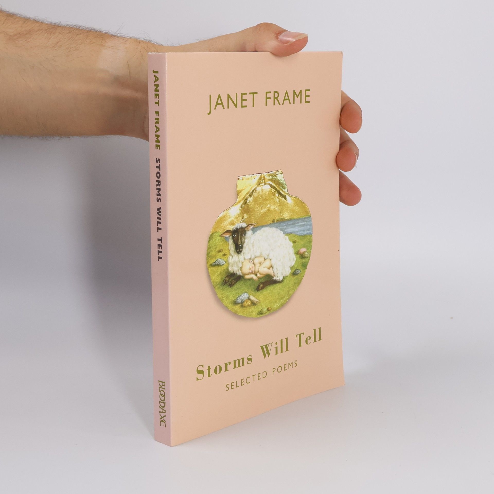 Janet Frame Storms Will Tell
