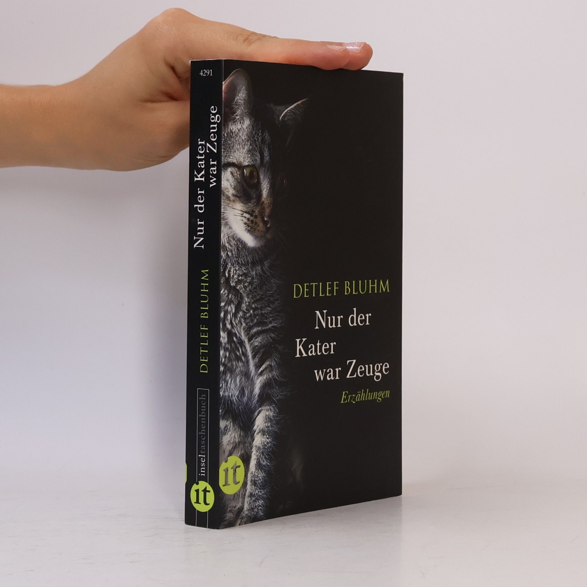 Detlef Bluhm Nur der Kater war Zeuge