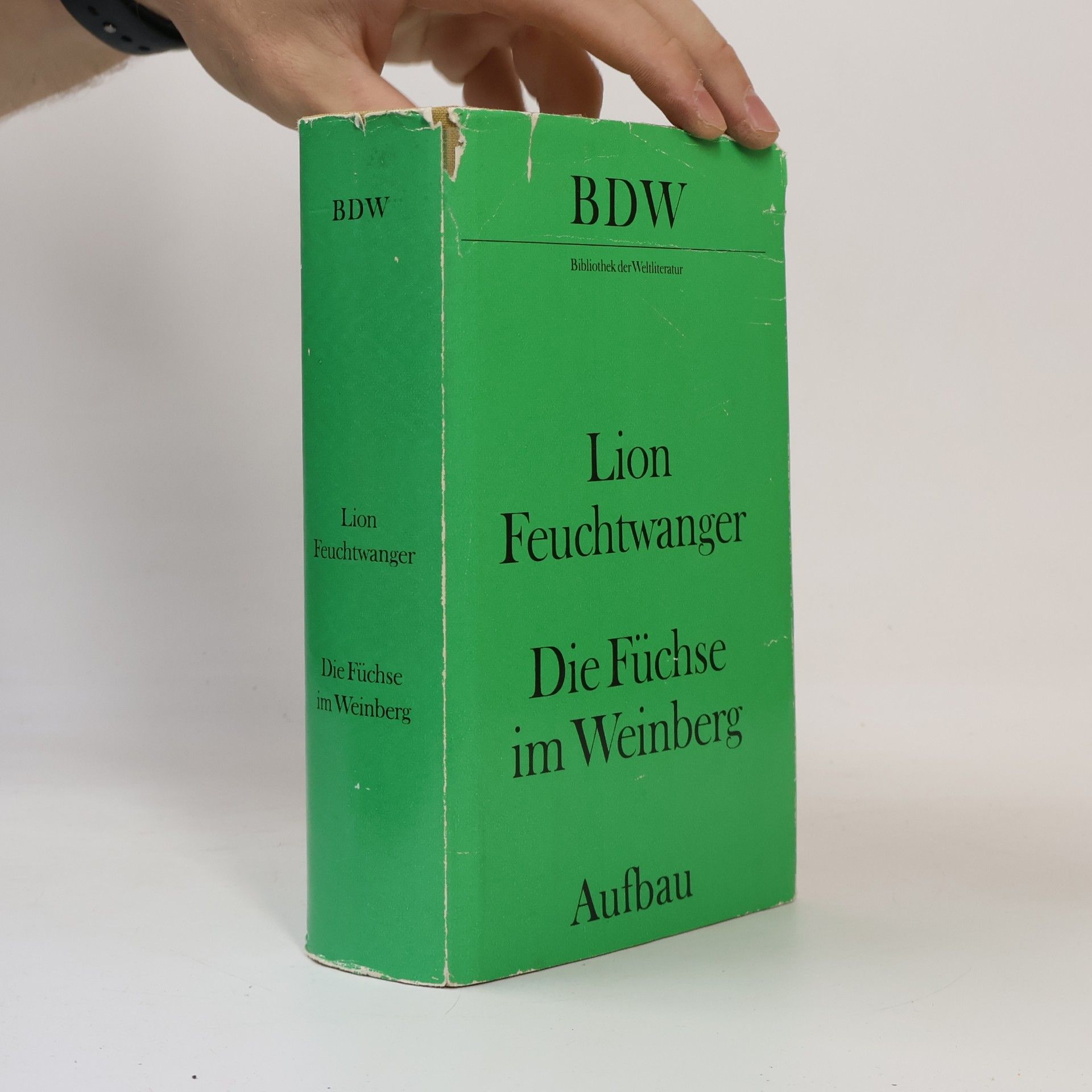 Lion Feuchtwanger Die fuchse im Weinberg