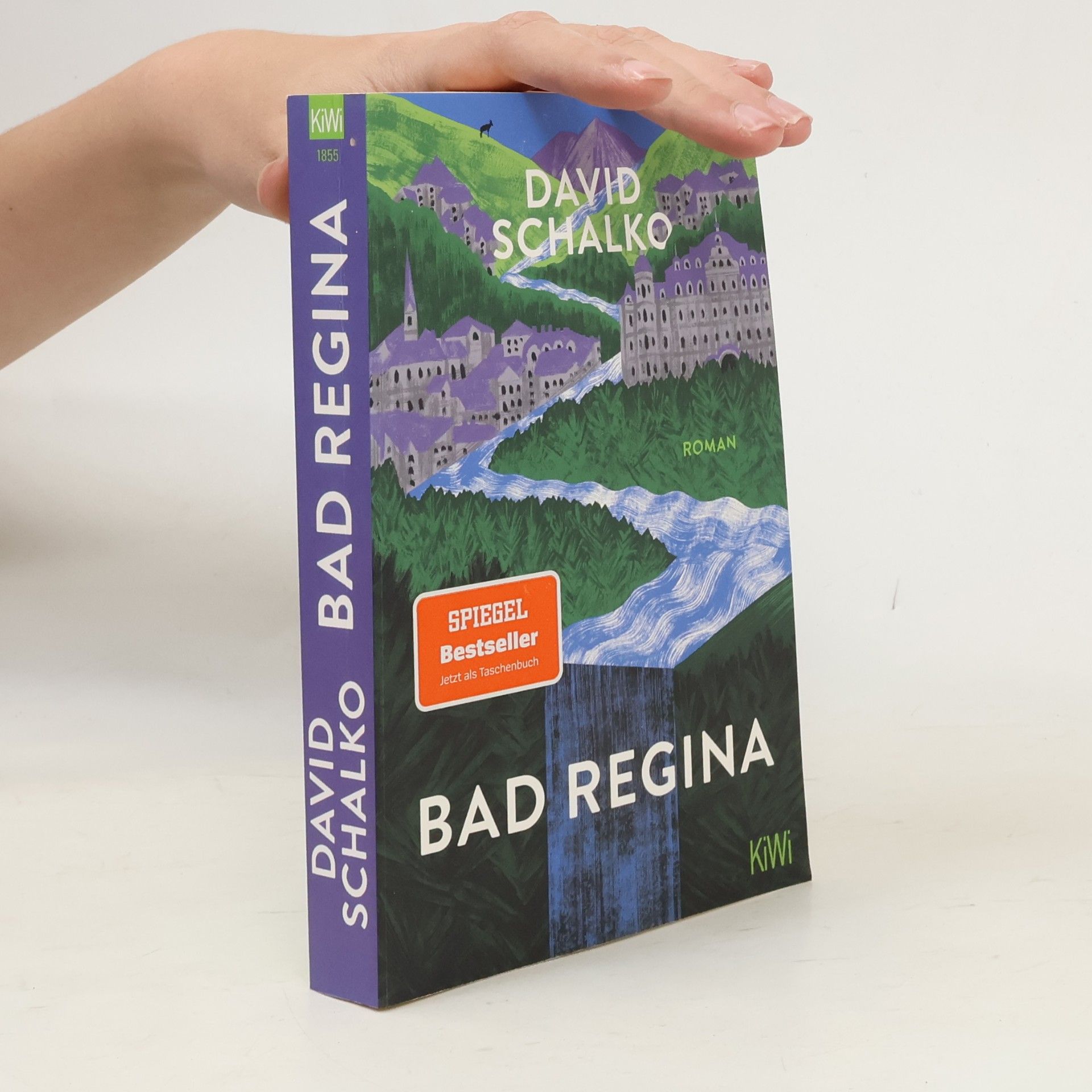 David Schalko Bad Regina