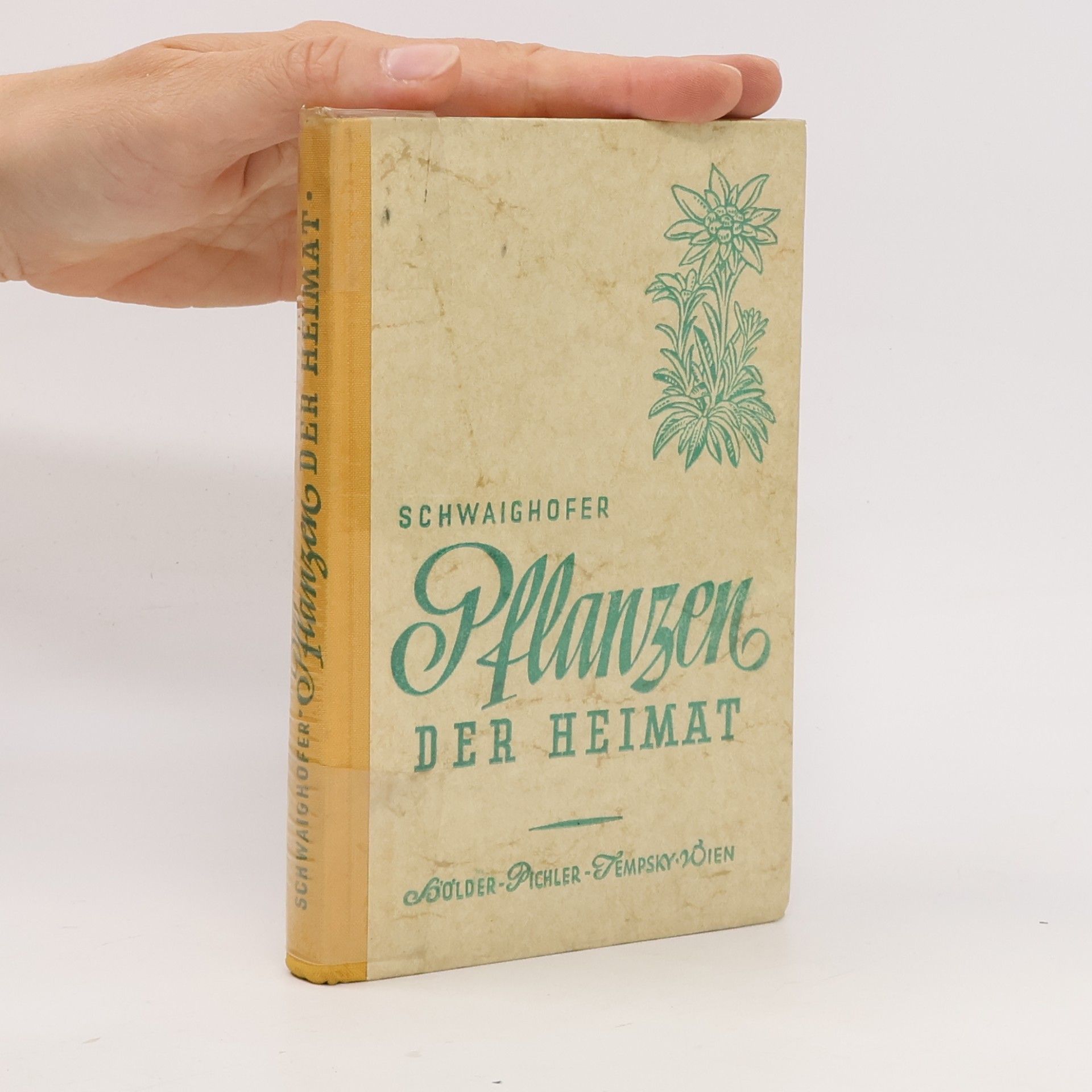 Anton Schwaighofer Pflanzen der Heimat
