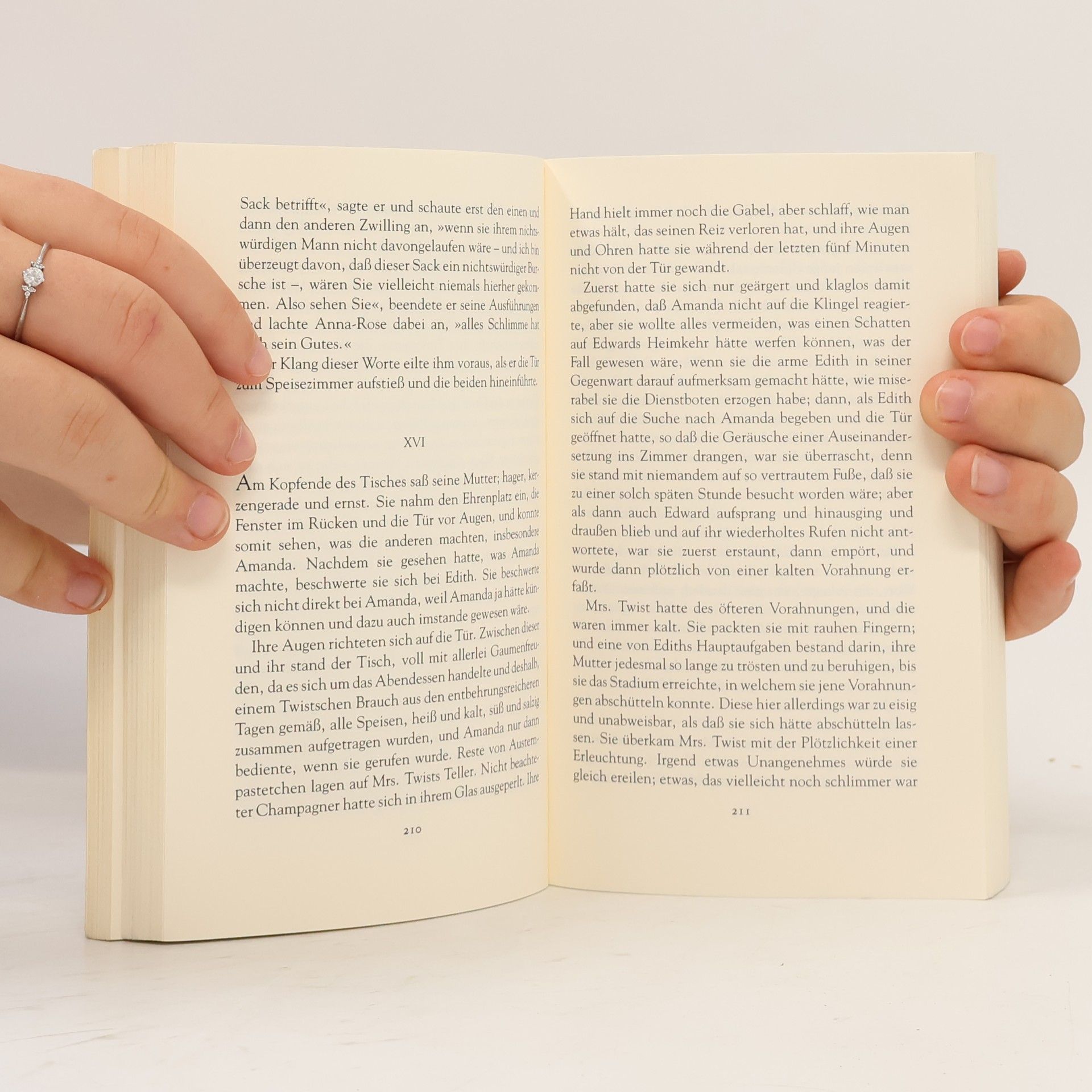 Elizabeth von Arnim In ein fernes Land