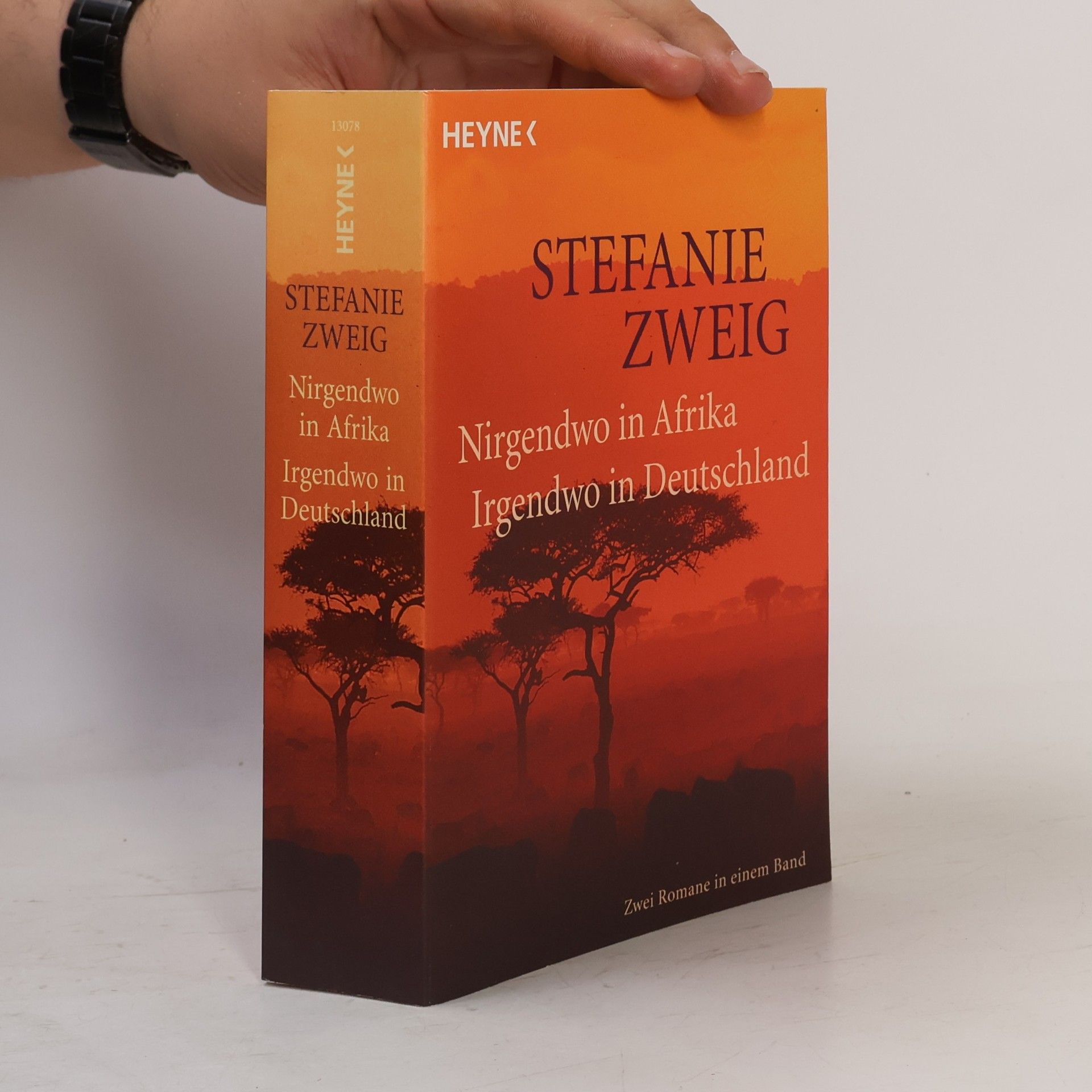 Stefanie Zweig Nirgendwo in Afrika