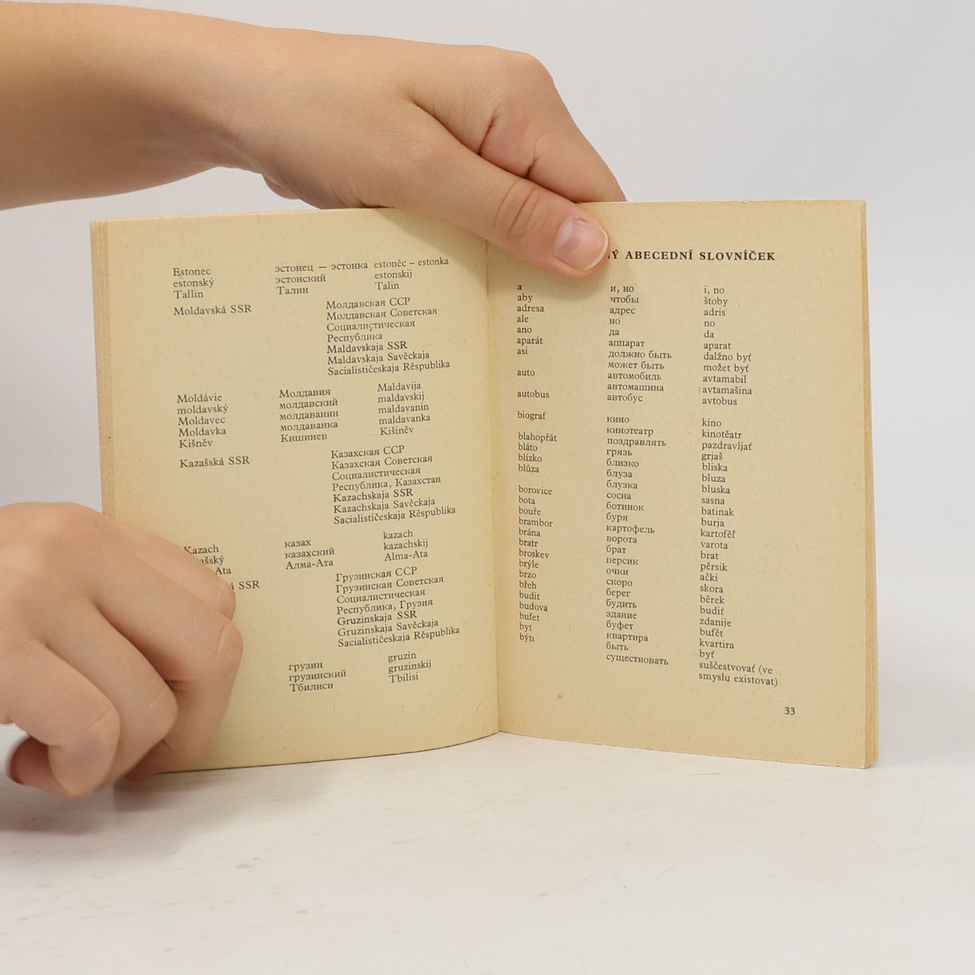 Autorenkollektiv Česko ruský slovníček