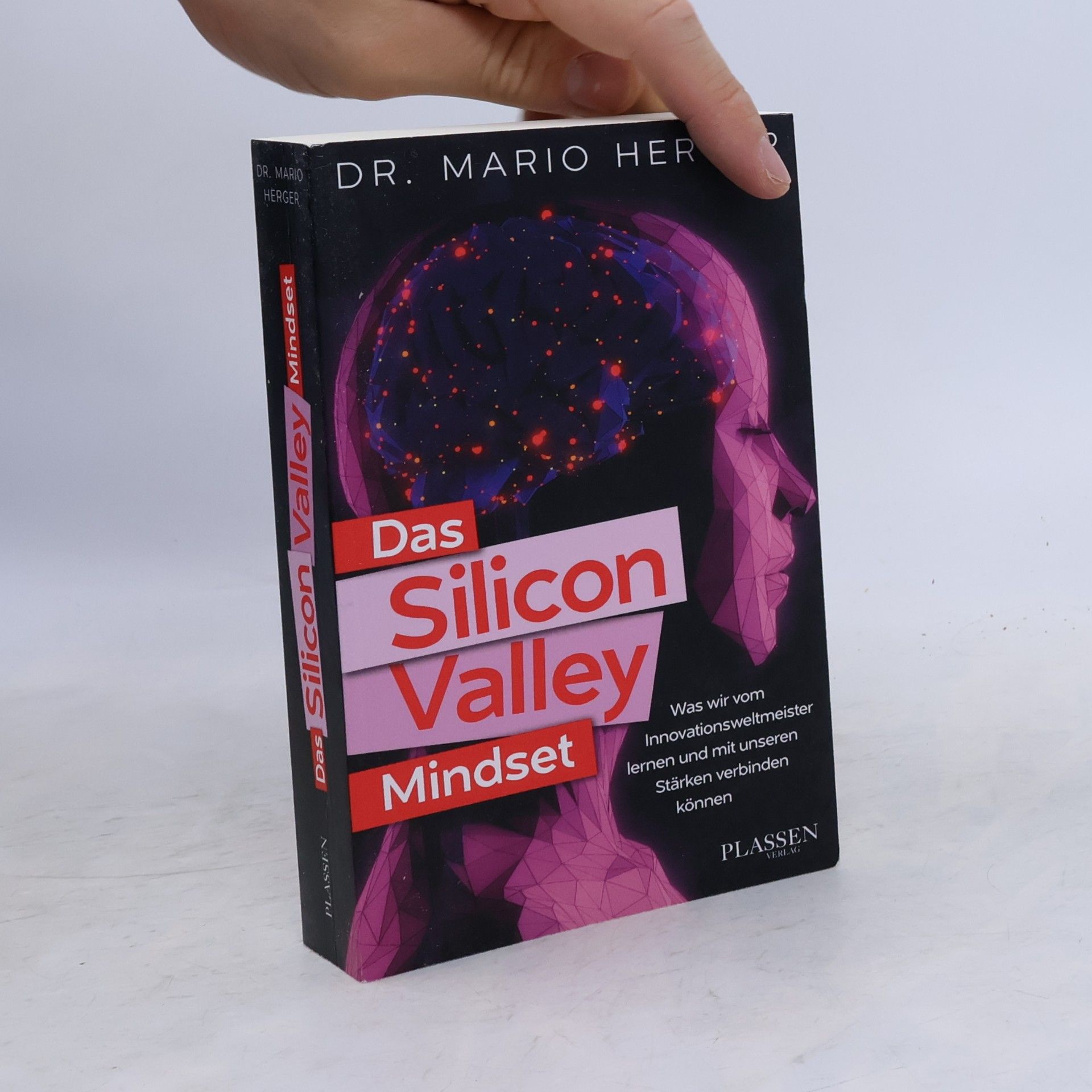 Mario Herger Das Silicon-Valley-Mindset