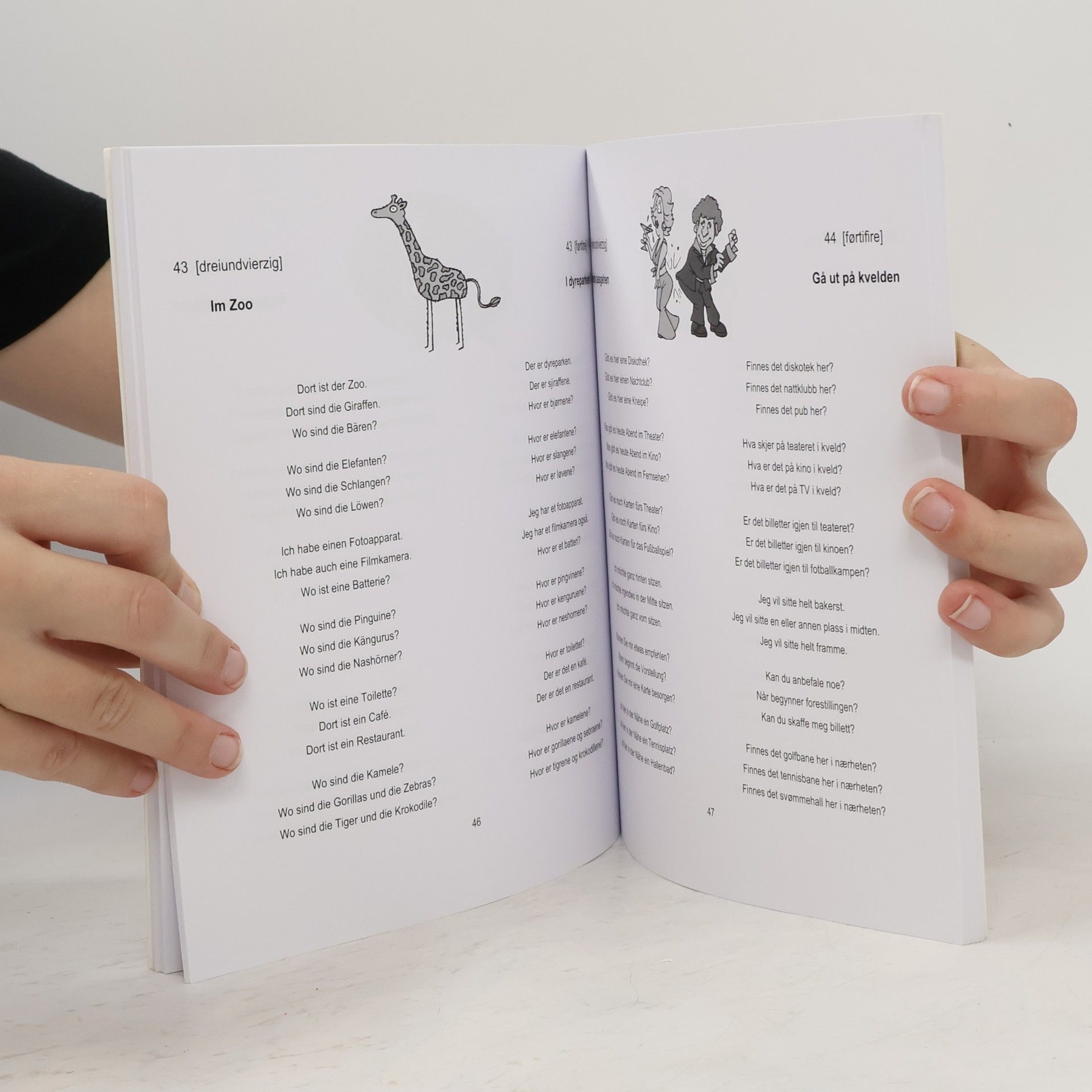 Johannes Schumann book2 Deutsch - Norwegisch für Anfänger