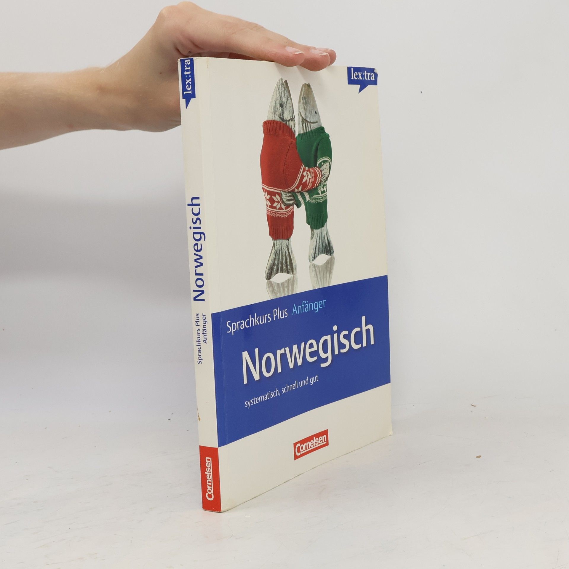 Kolektiv autorů Norwegisch Sprachkurs Plus A2