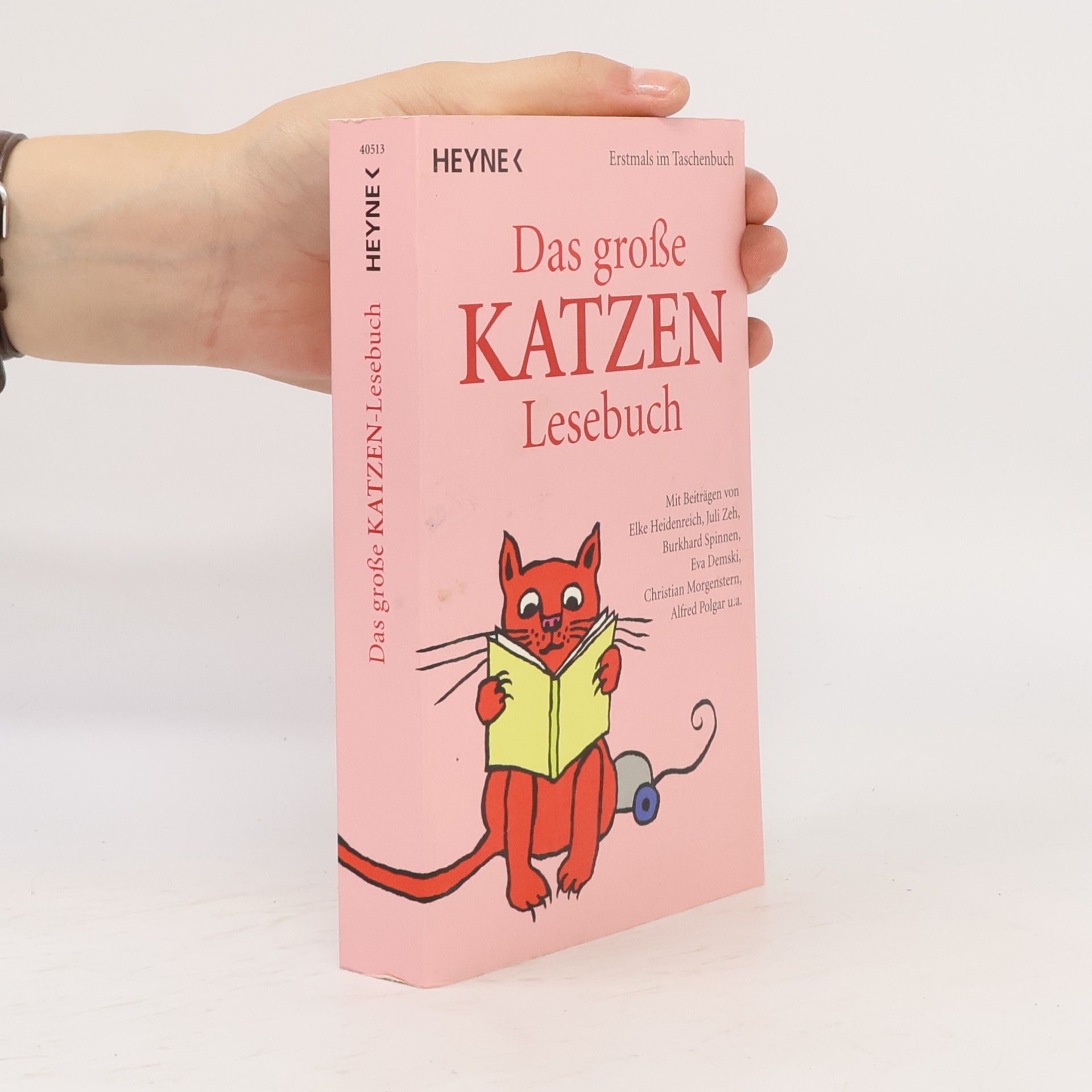 Julia Bachstein Das große Katzen-Lesebuch