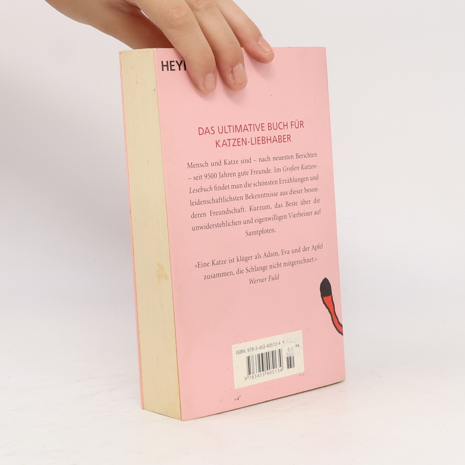 Julia Bachstein Das große Katzen-Lesebuch