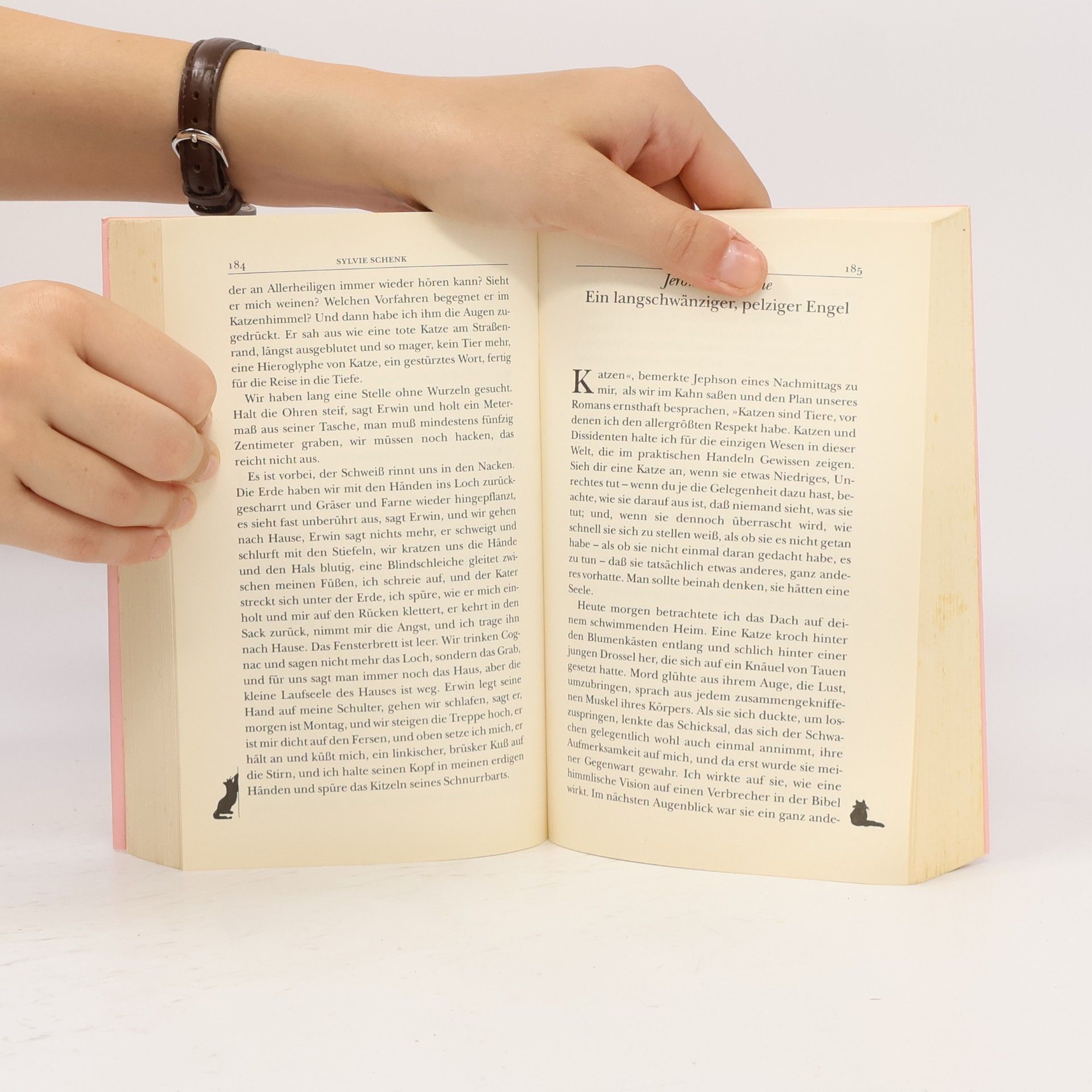 Julia Bachstein Das große Katzen-Lesebuch