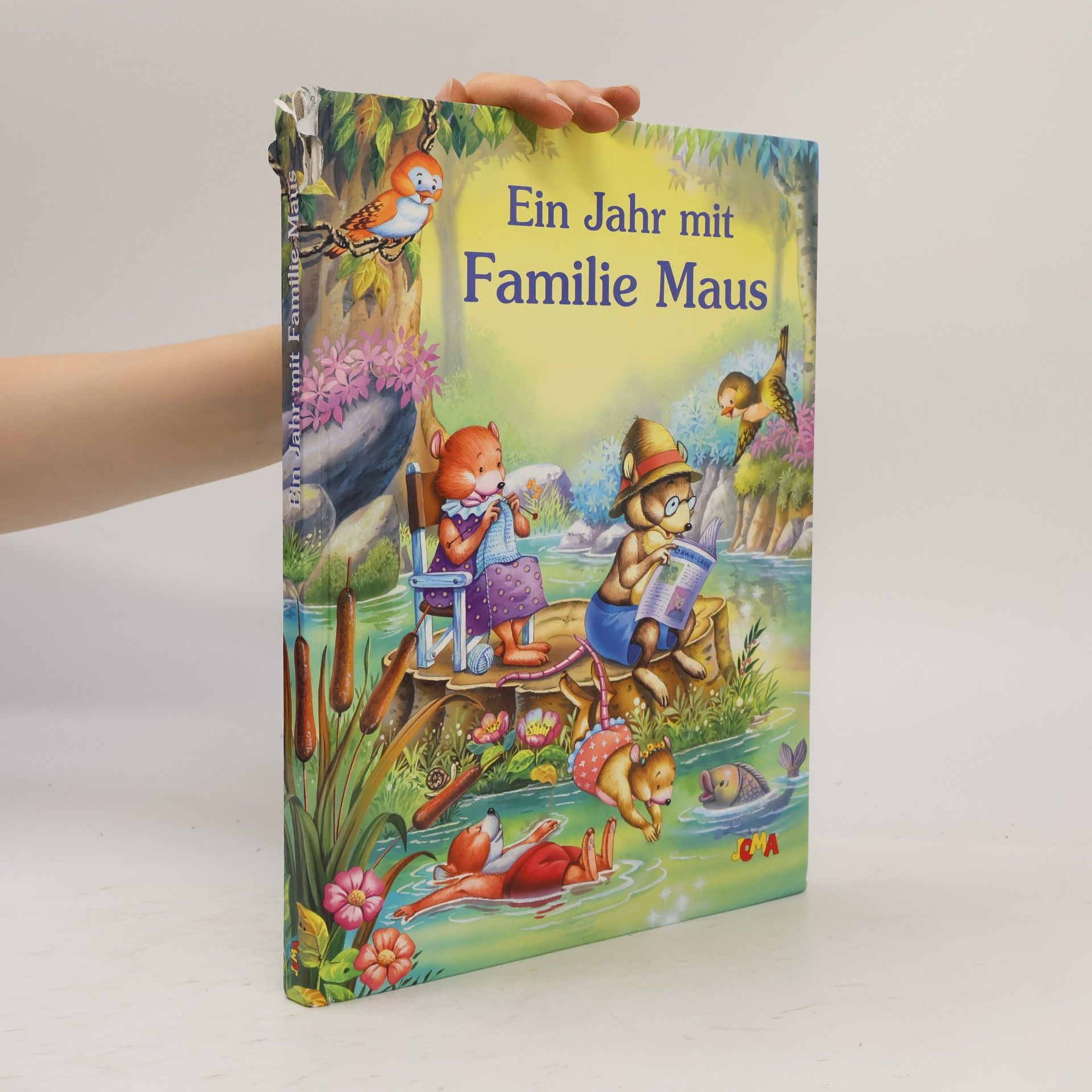 Autorenkollektiv Ein Jahr mit Familie Maus