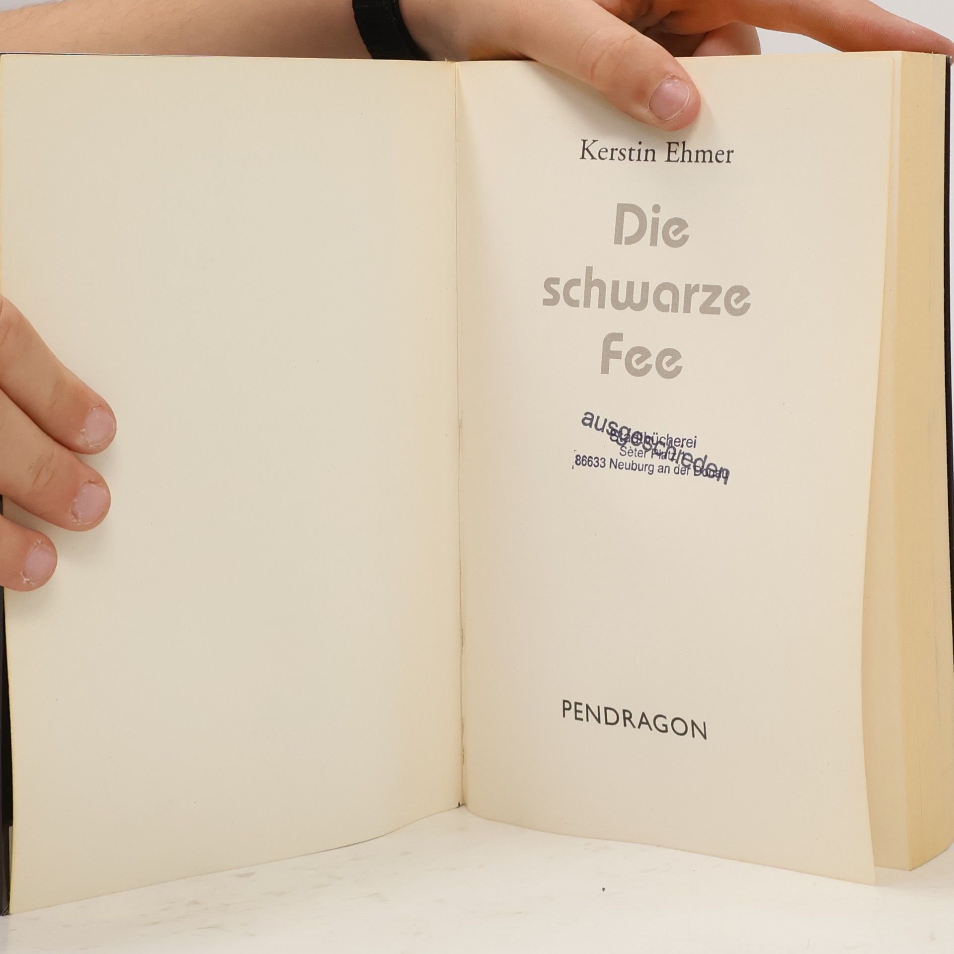 Kerstin Ehmer Die schwarze Fee