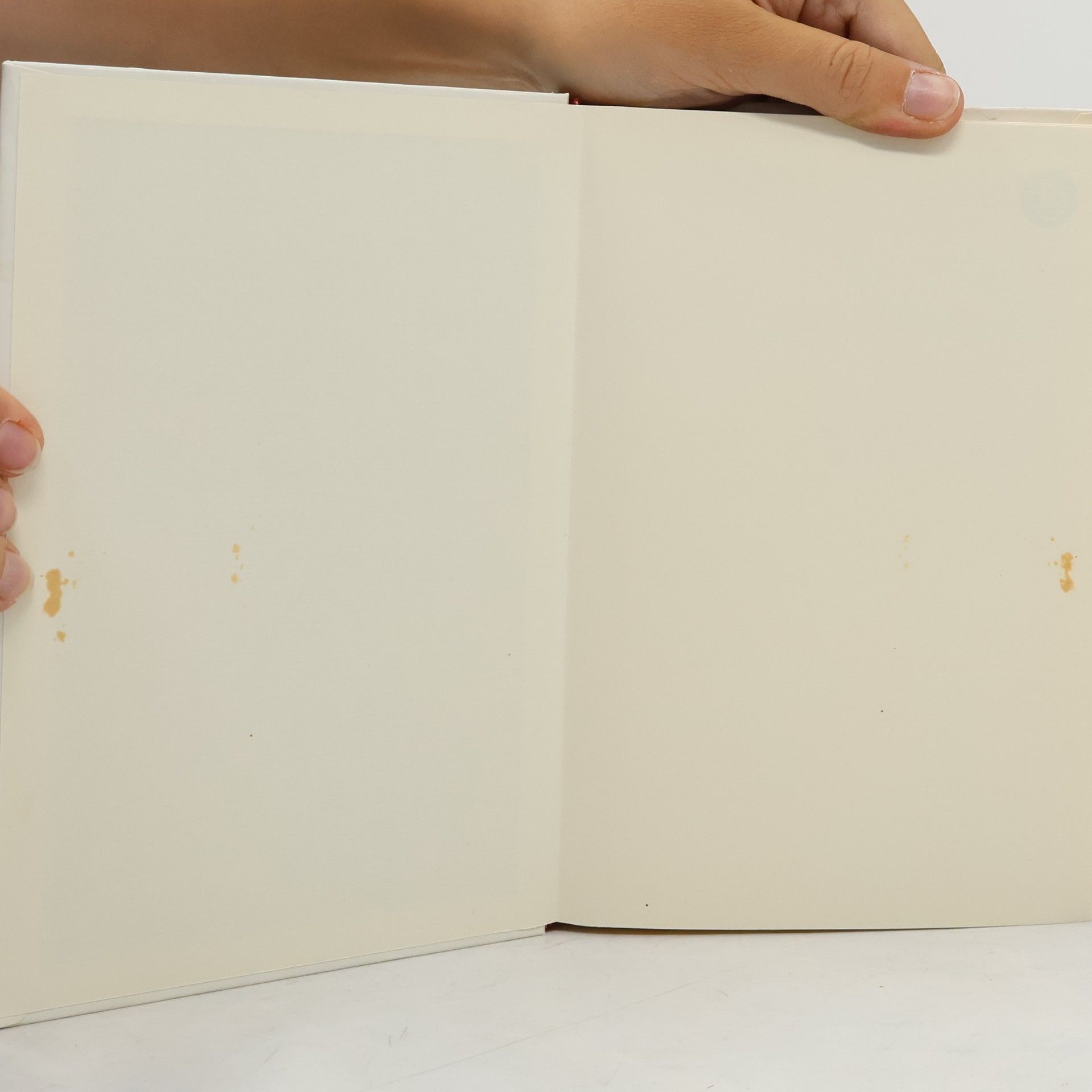 Irmgard Kulmus Landthaler Kochbuch für Magen-Darmdiät
