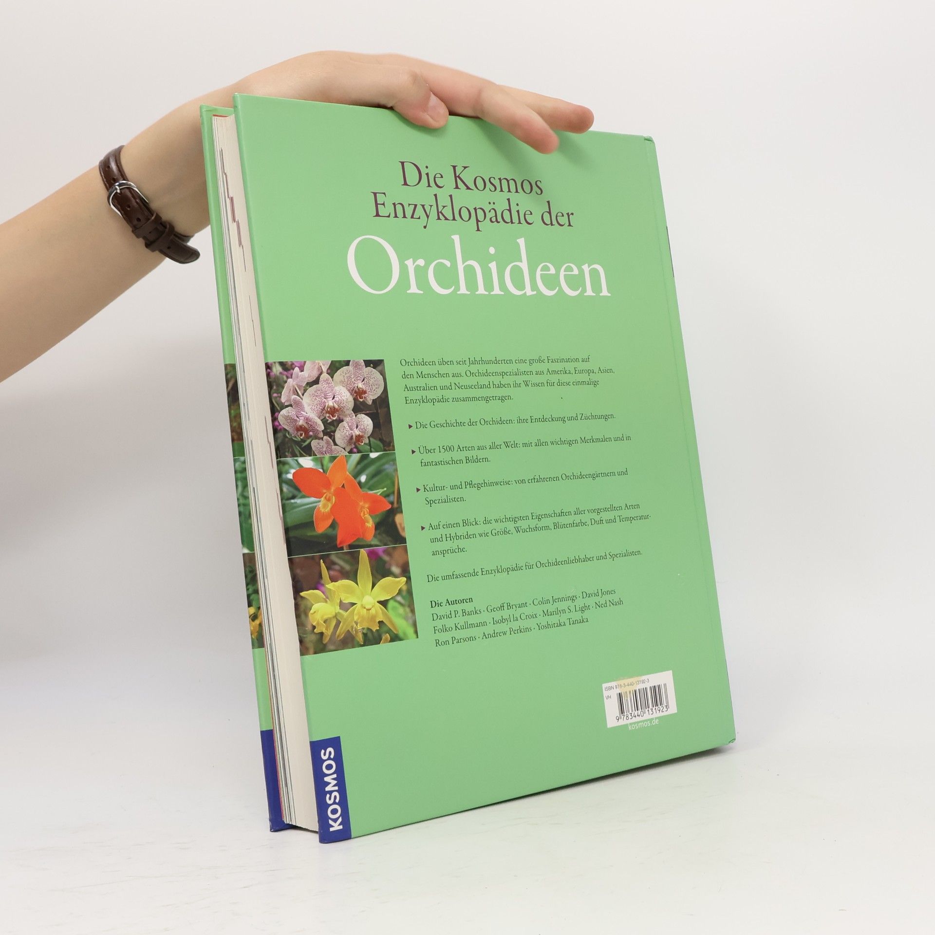 Folko Kullmann Die Kosmos-Enzyklopädie der Orchideen