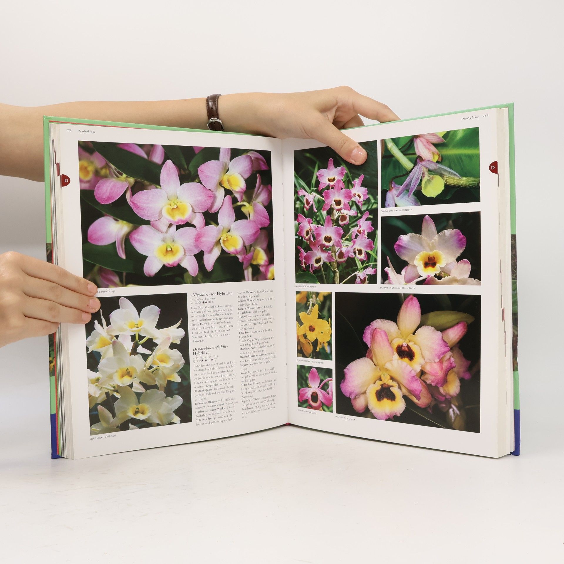 Folko Kullmann Die Kosmos-Enzyklopädie der Orchideen