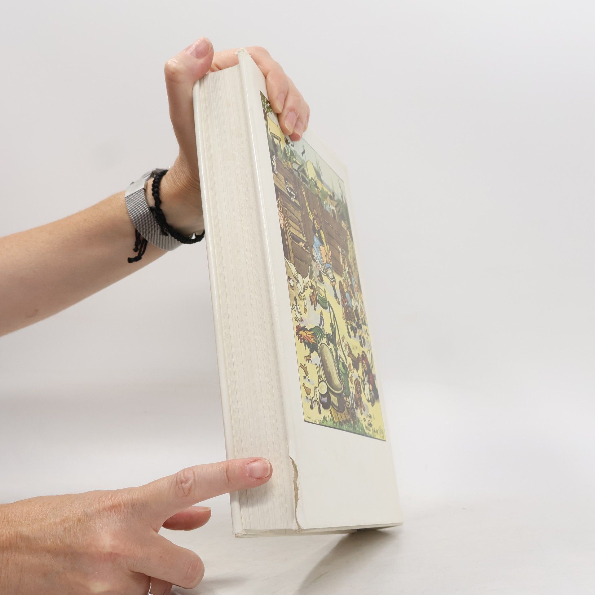 Gerhard Flügge Das dicke Zille-Buch