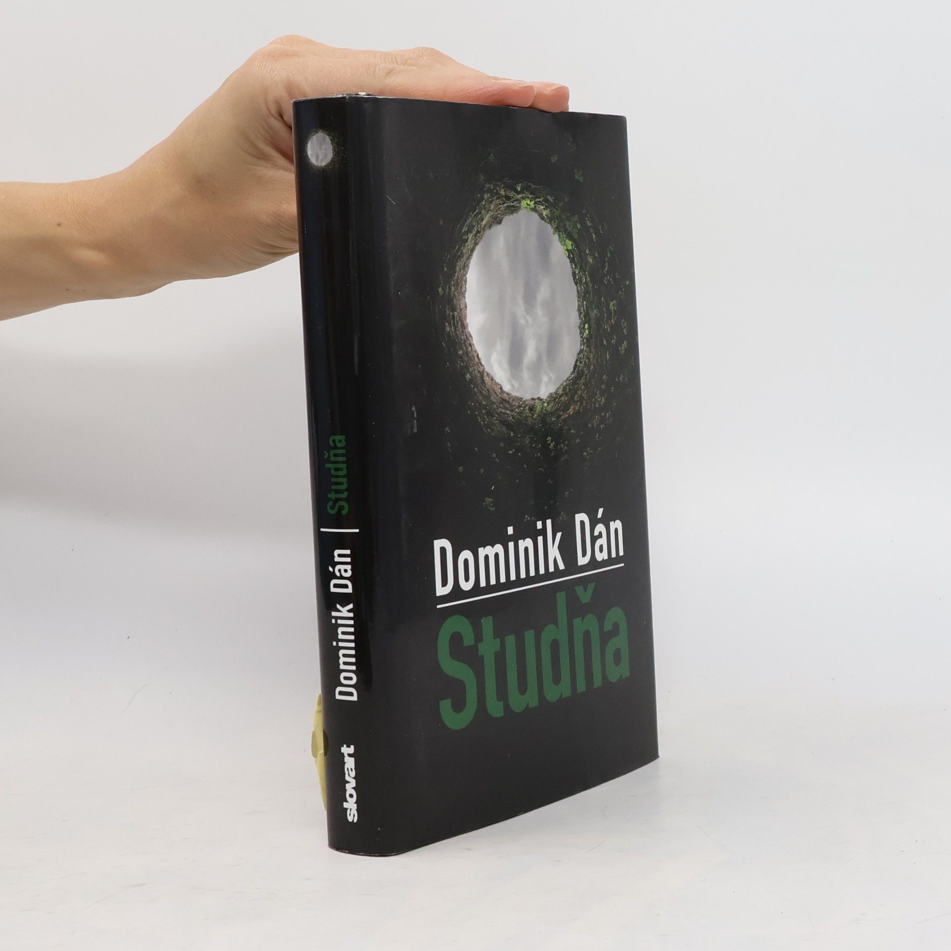 Dominik Dán Studňa