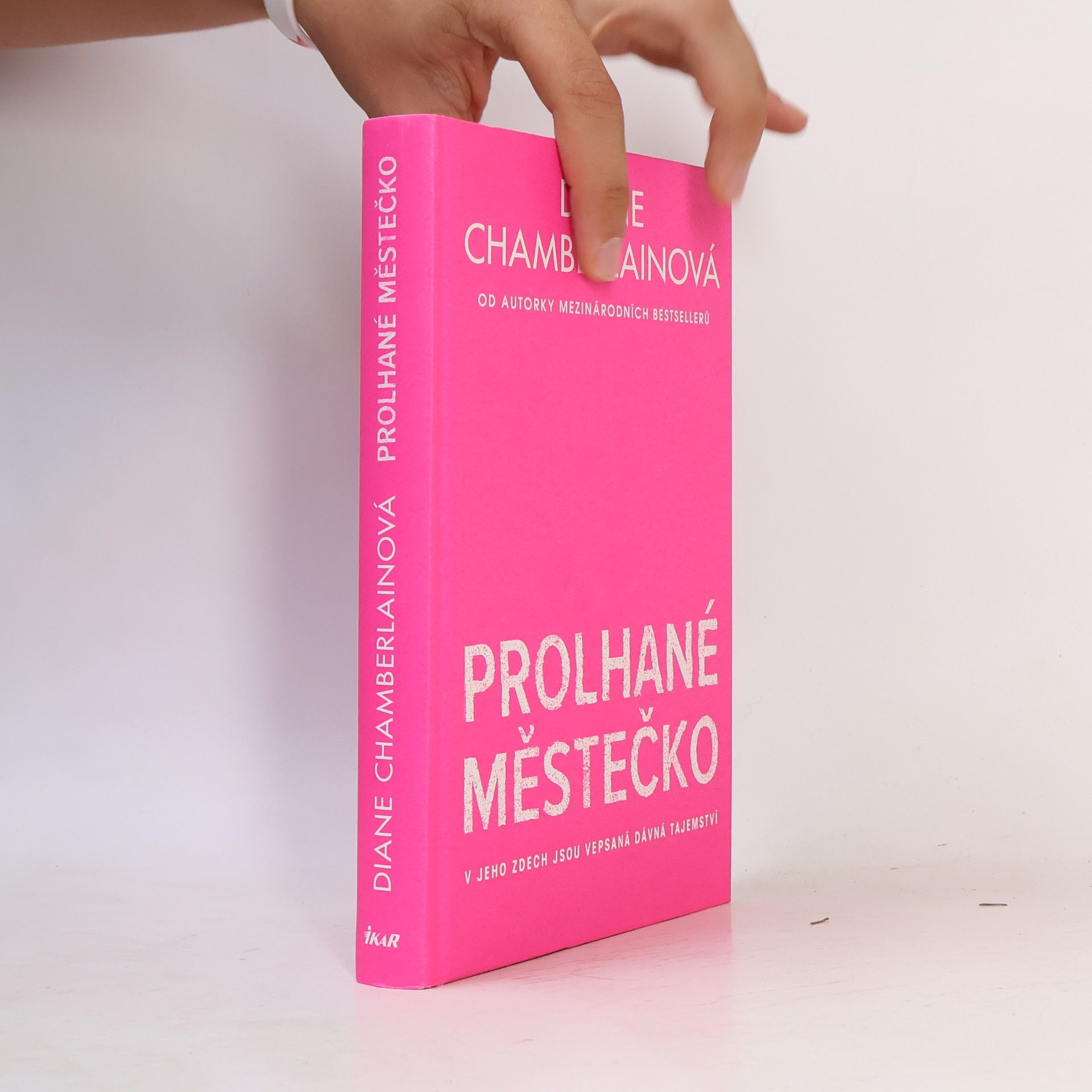 Diane Chamberlain Prolhané městečko
