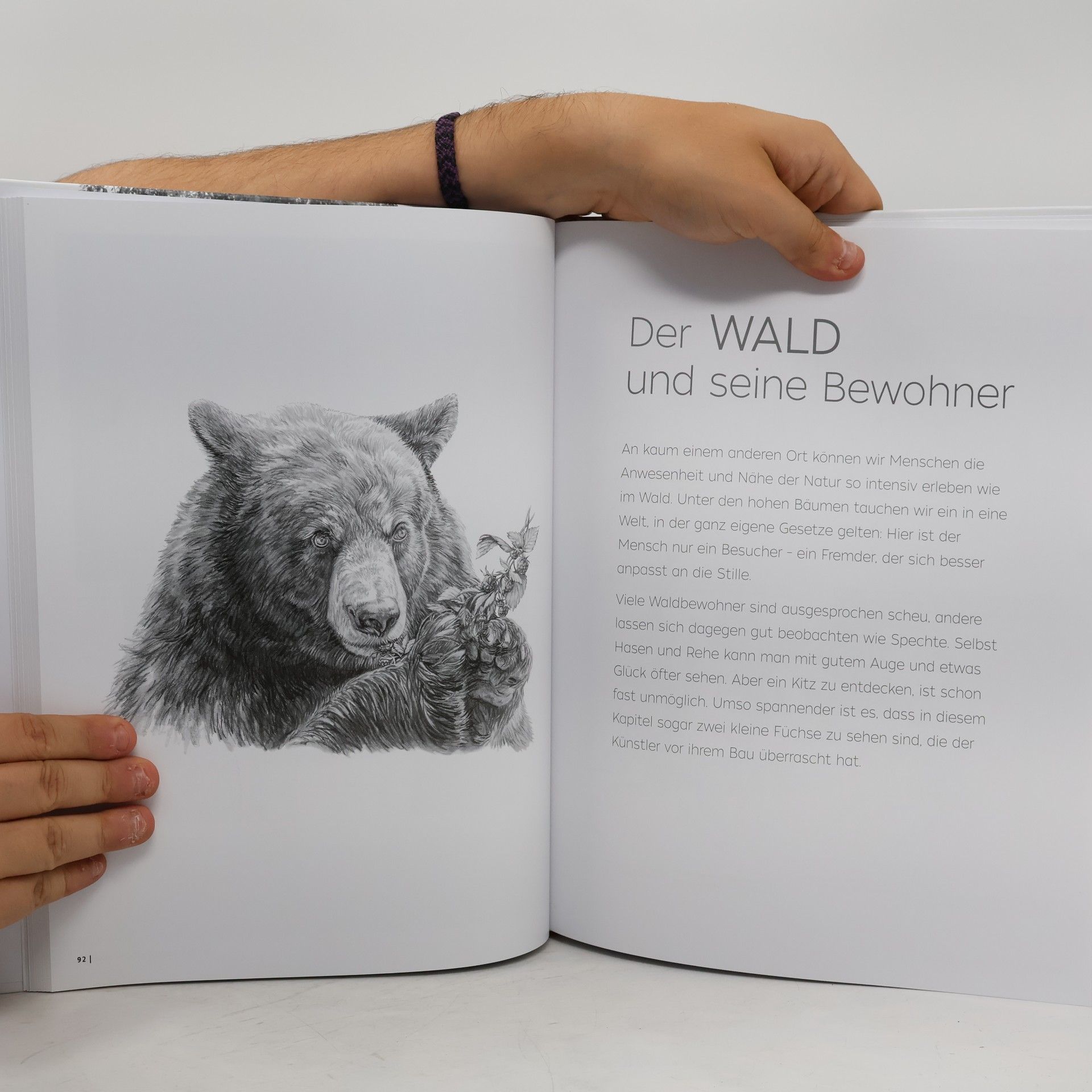 Frechverlag Die Kunst des Zeichnens - Natur