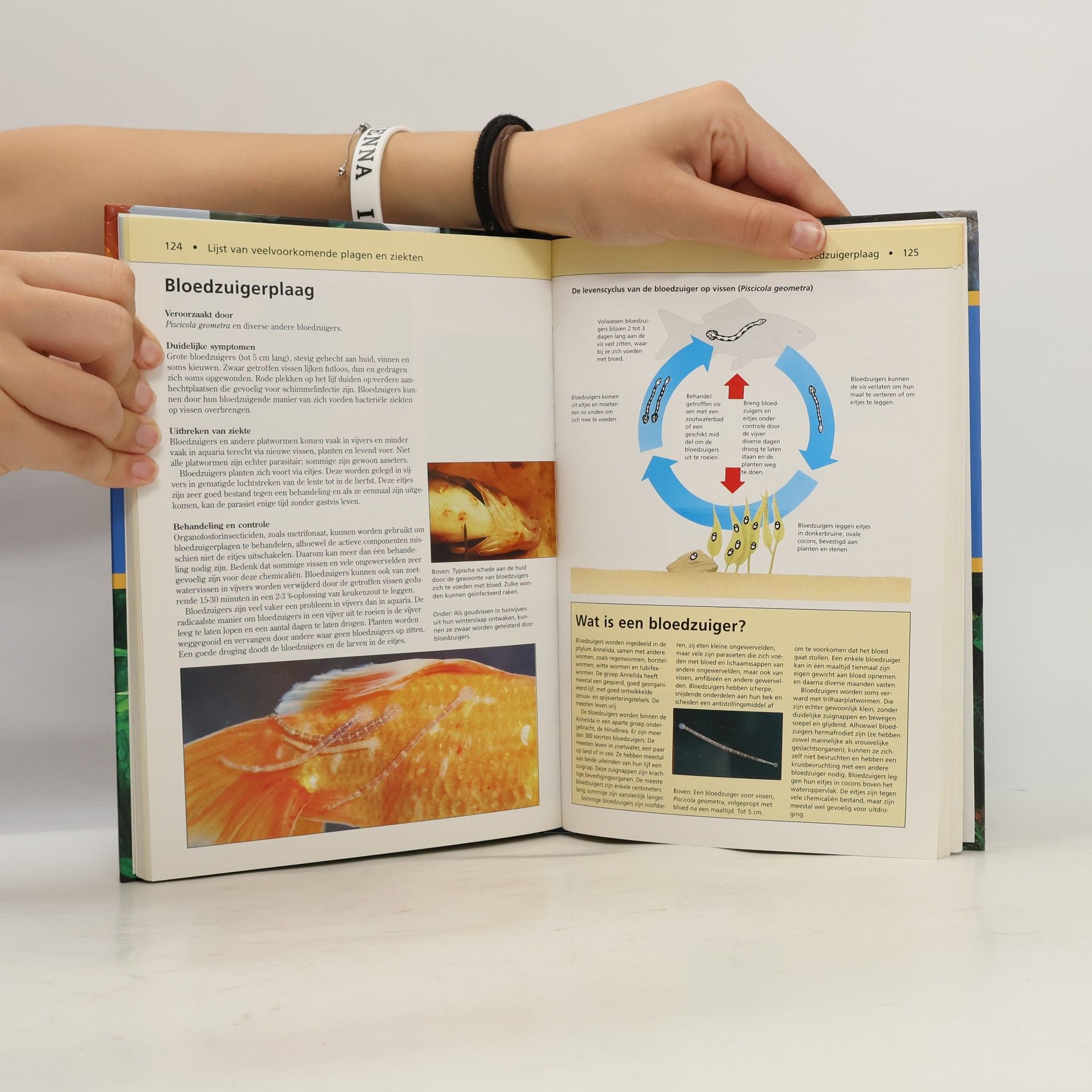Chris Andrews Medisch handboek vissen voor aquarium en vijver