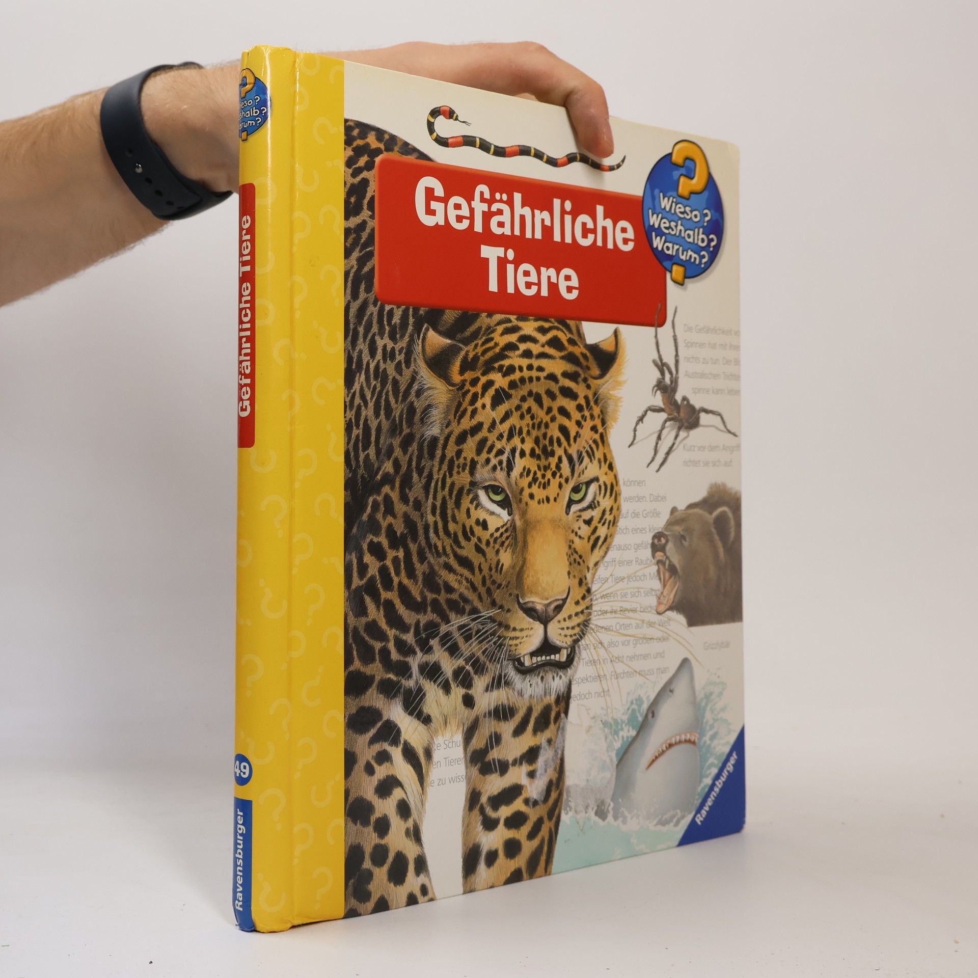 Autorenkollektiv Gefährliche Tiere 49