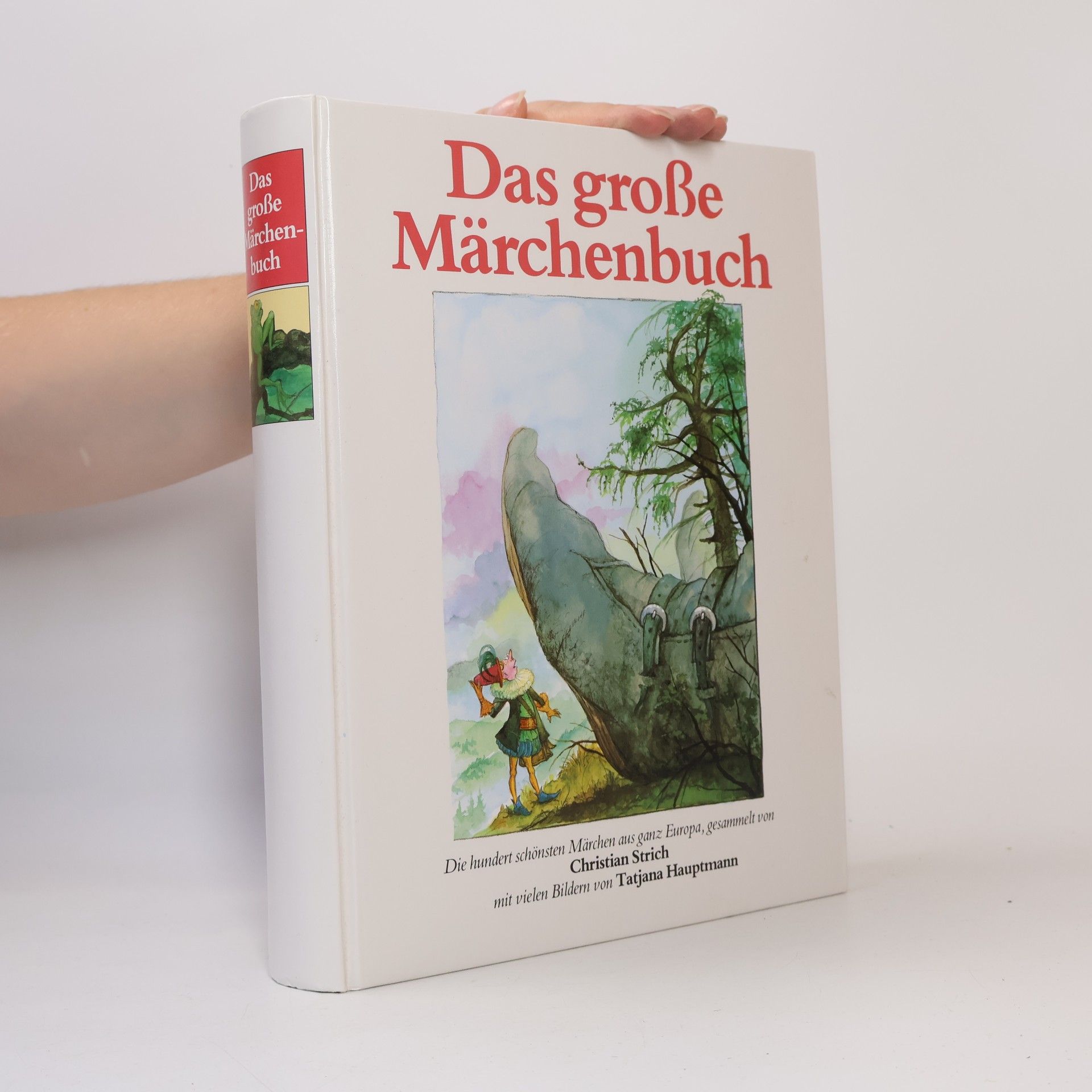 Tatjana Hauptmann Das grosse Märchenbuch